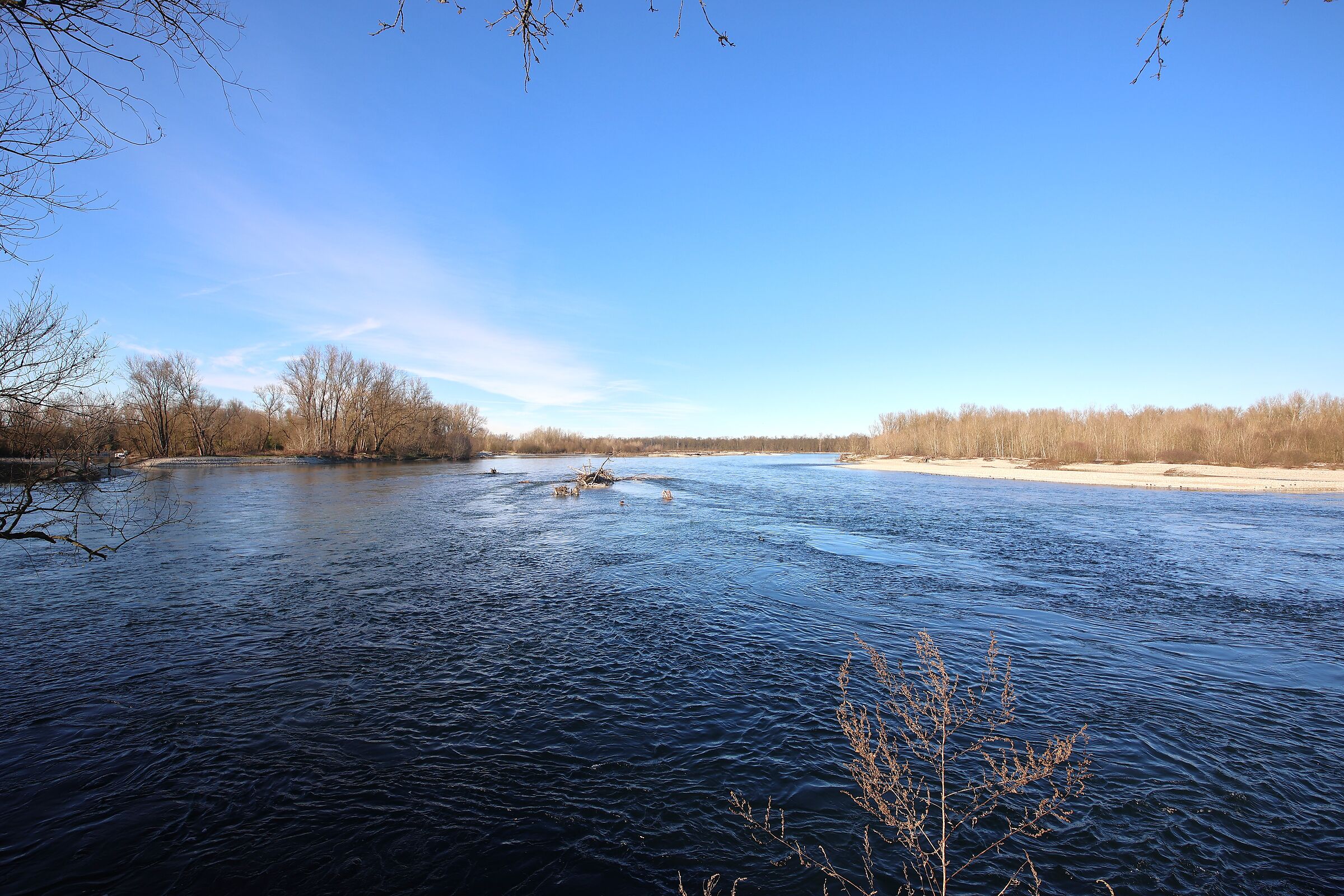 The Beauty of the River