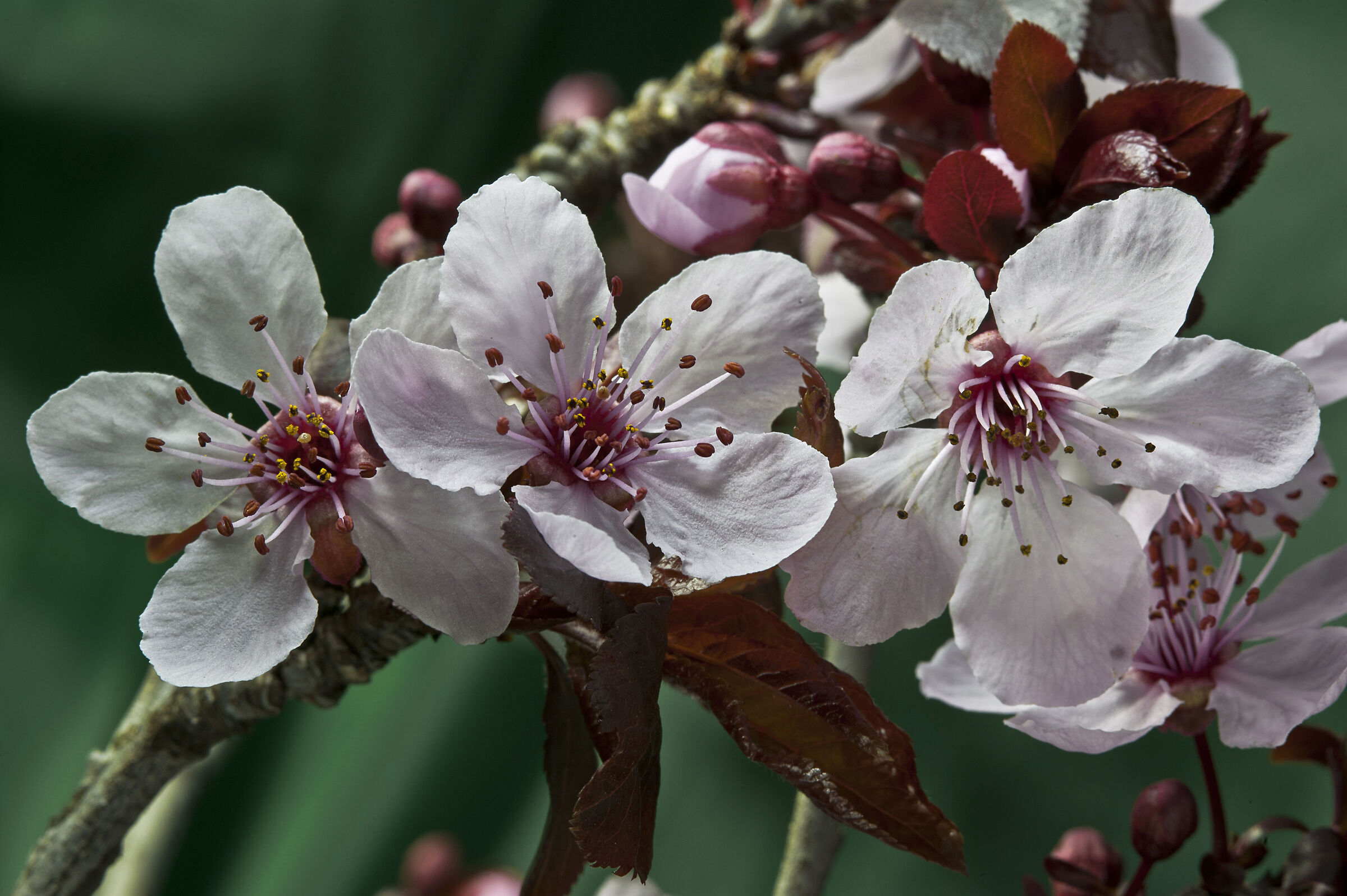 Aria di primavera