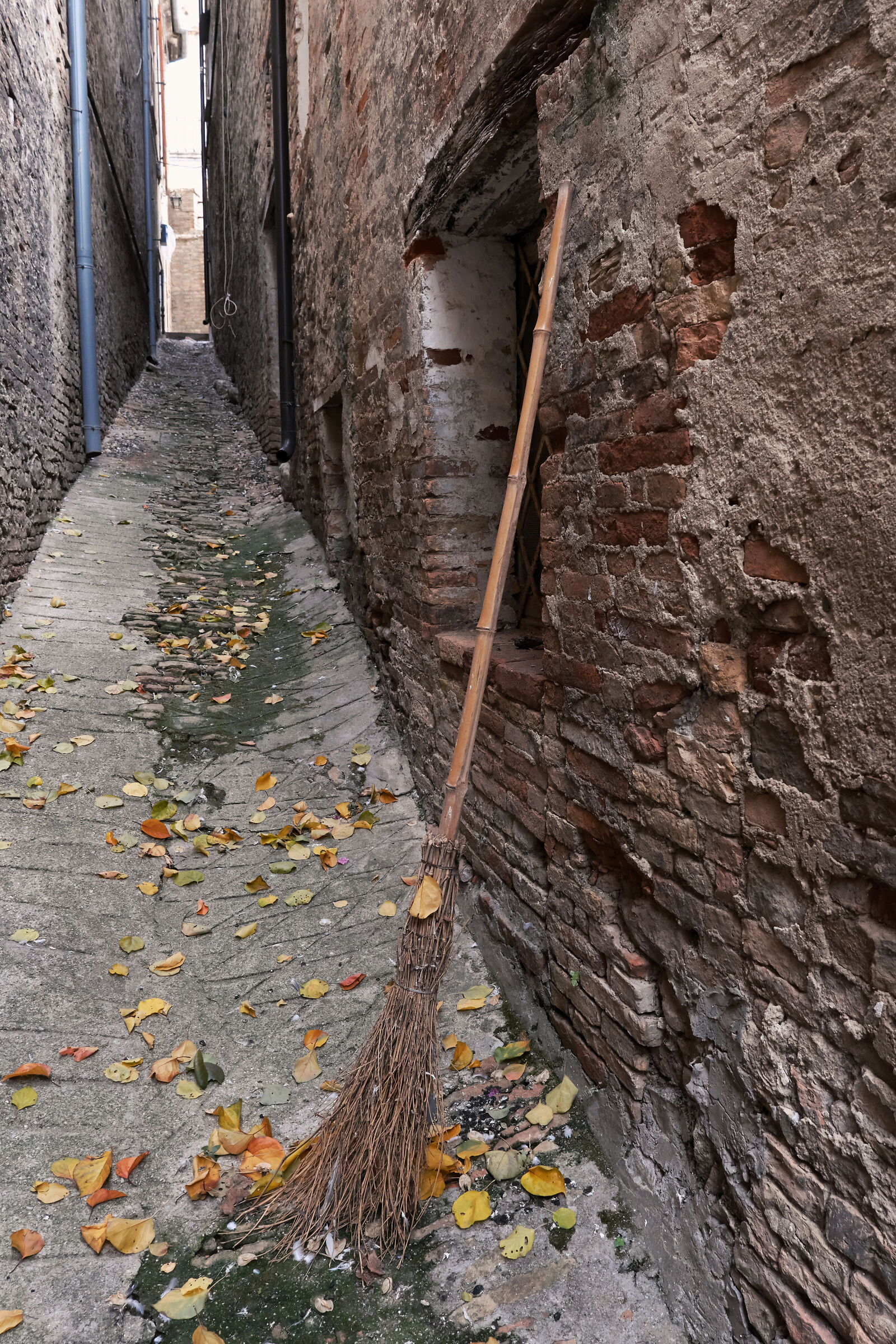 La strega ha dimenticato la sua scopa...