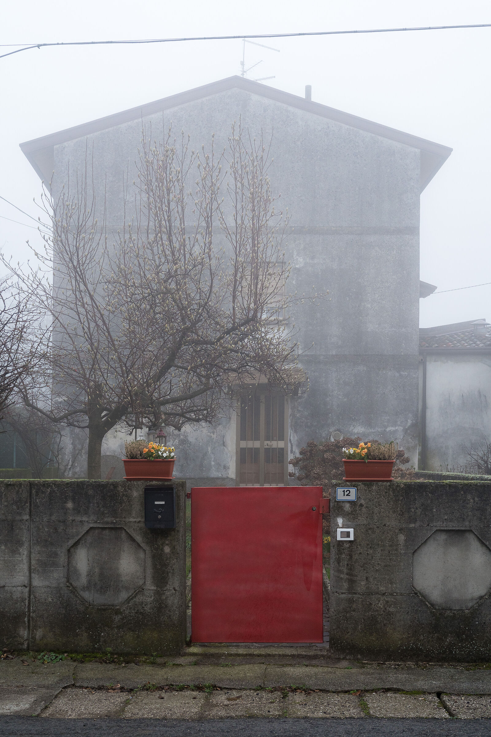 Untitled Photo