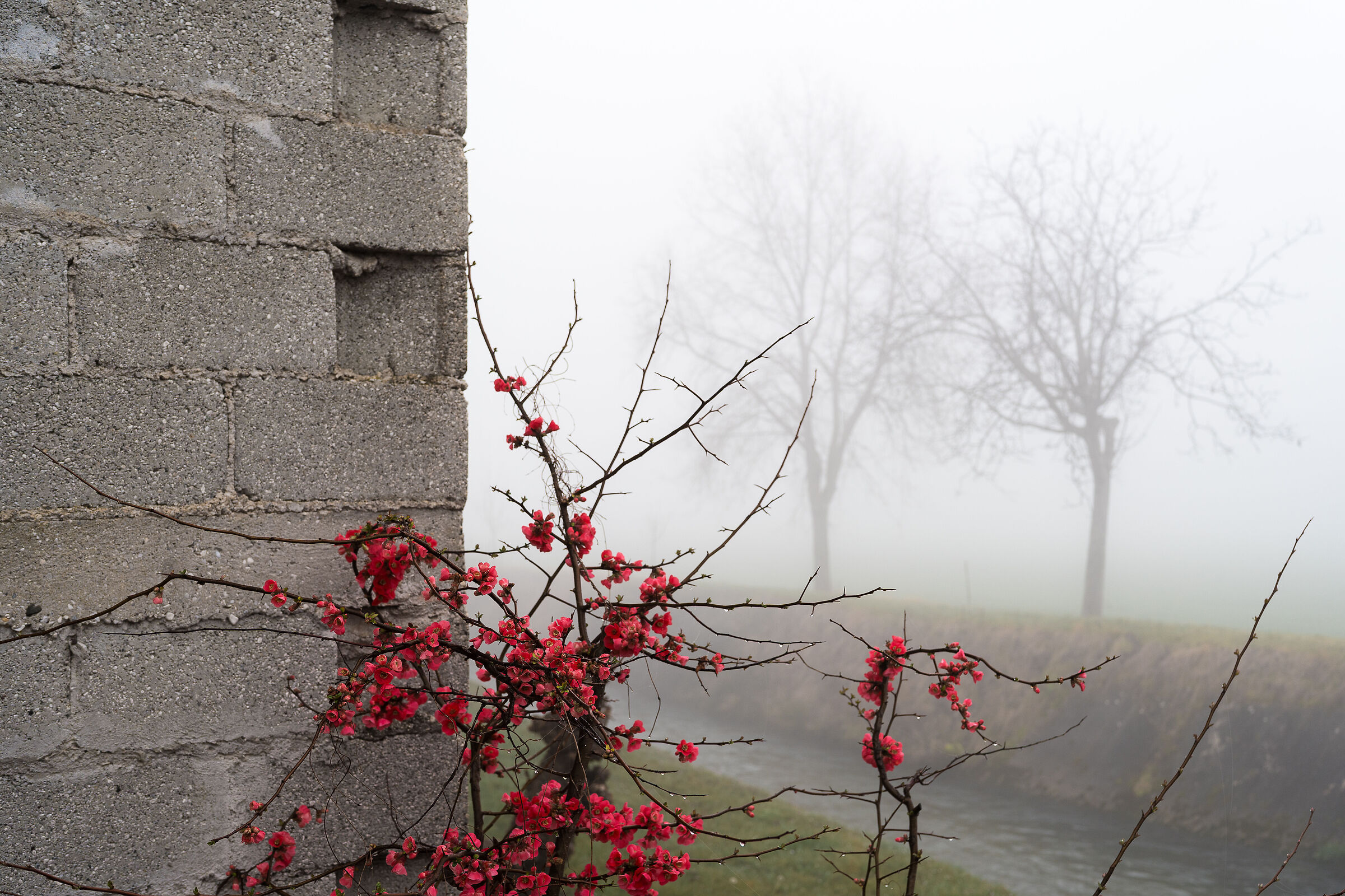 Untitled Photo