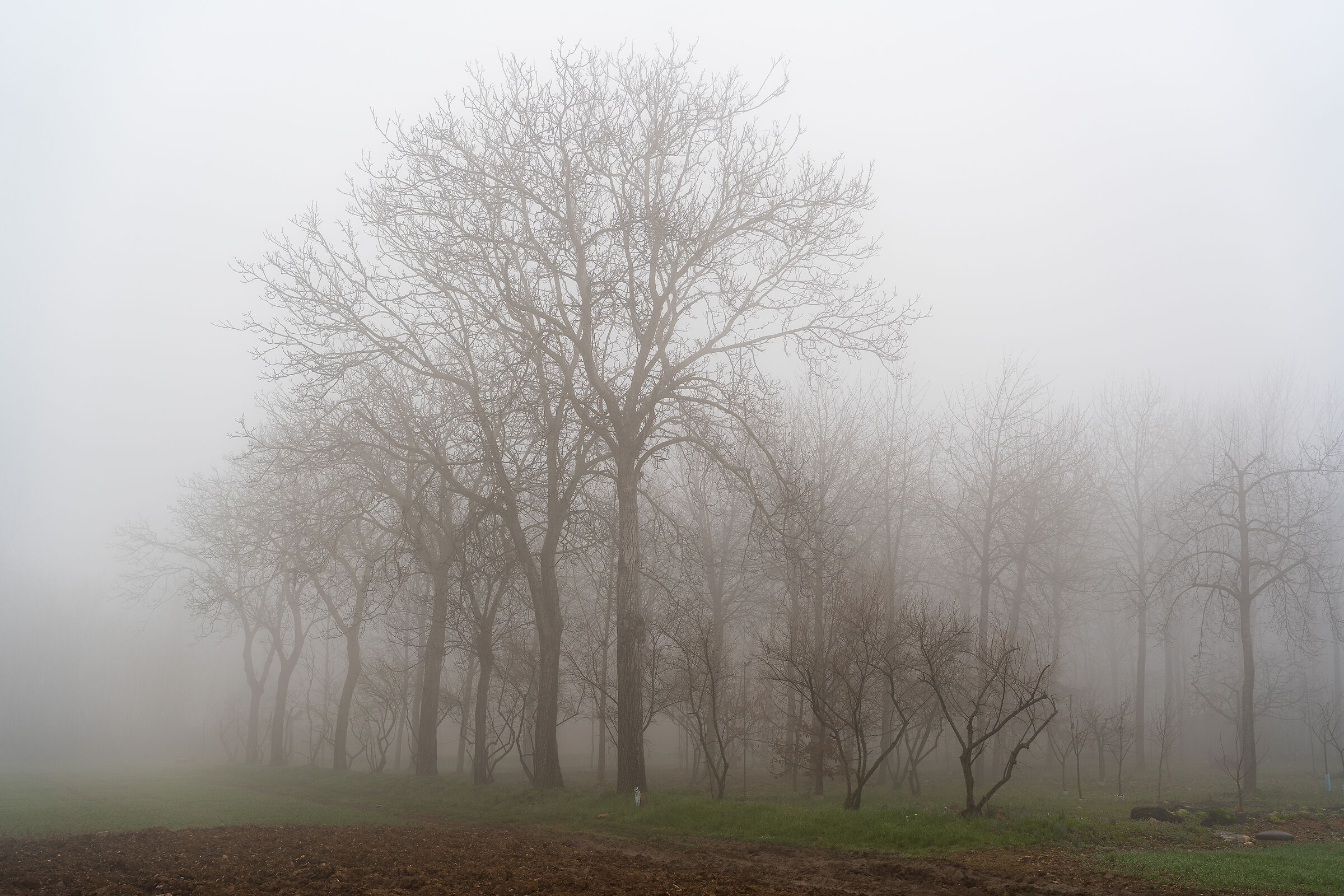 Untitled Photo
