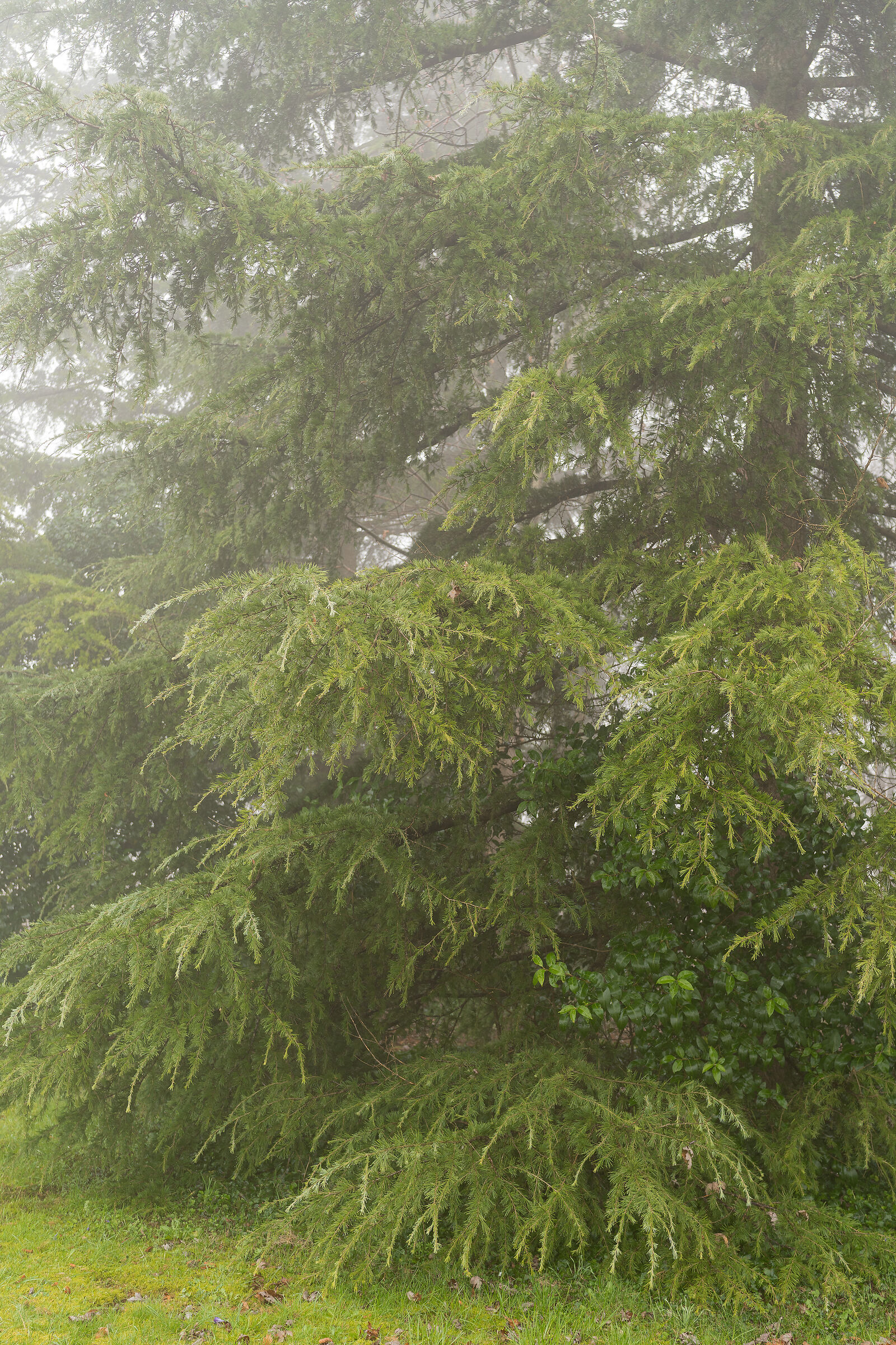 Untitled Photo