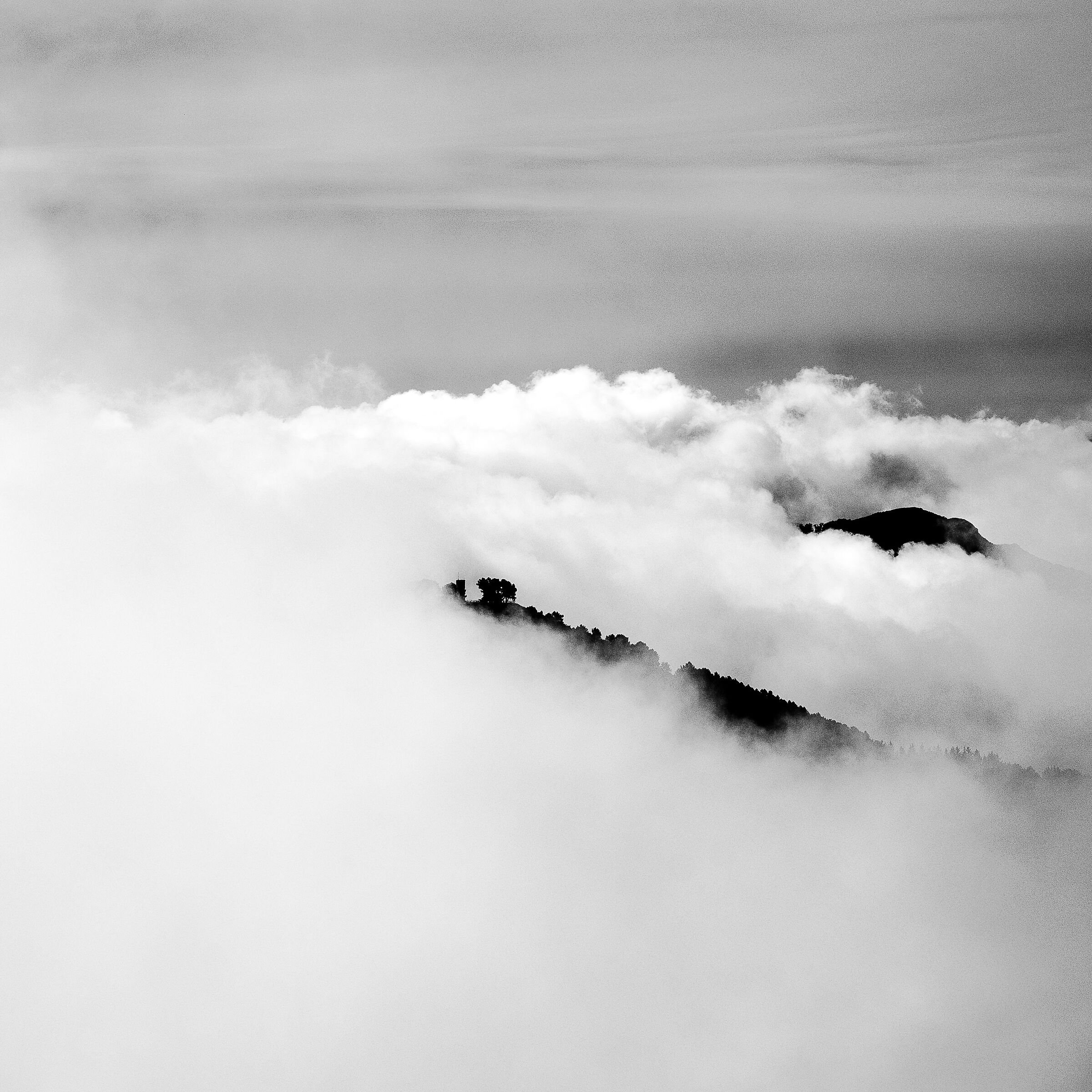 Caresses of mist