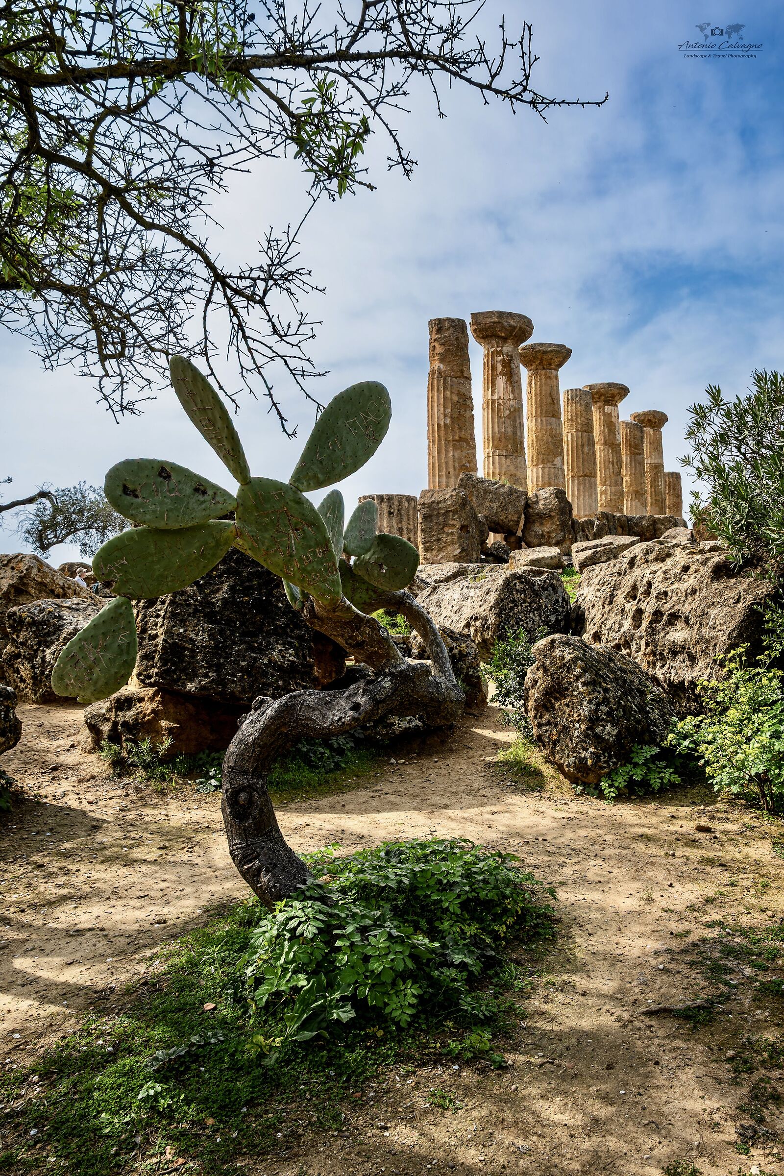 Tempio di Giove - Valle dei Templi (ag)