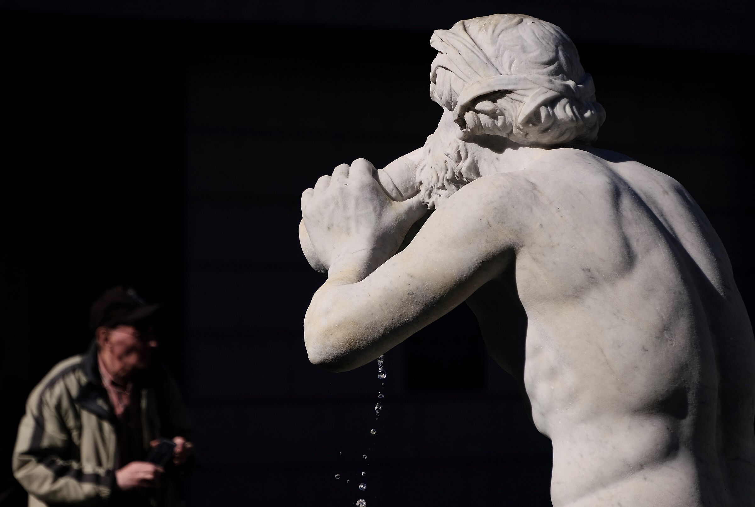 Fontana del Moro (particolare)