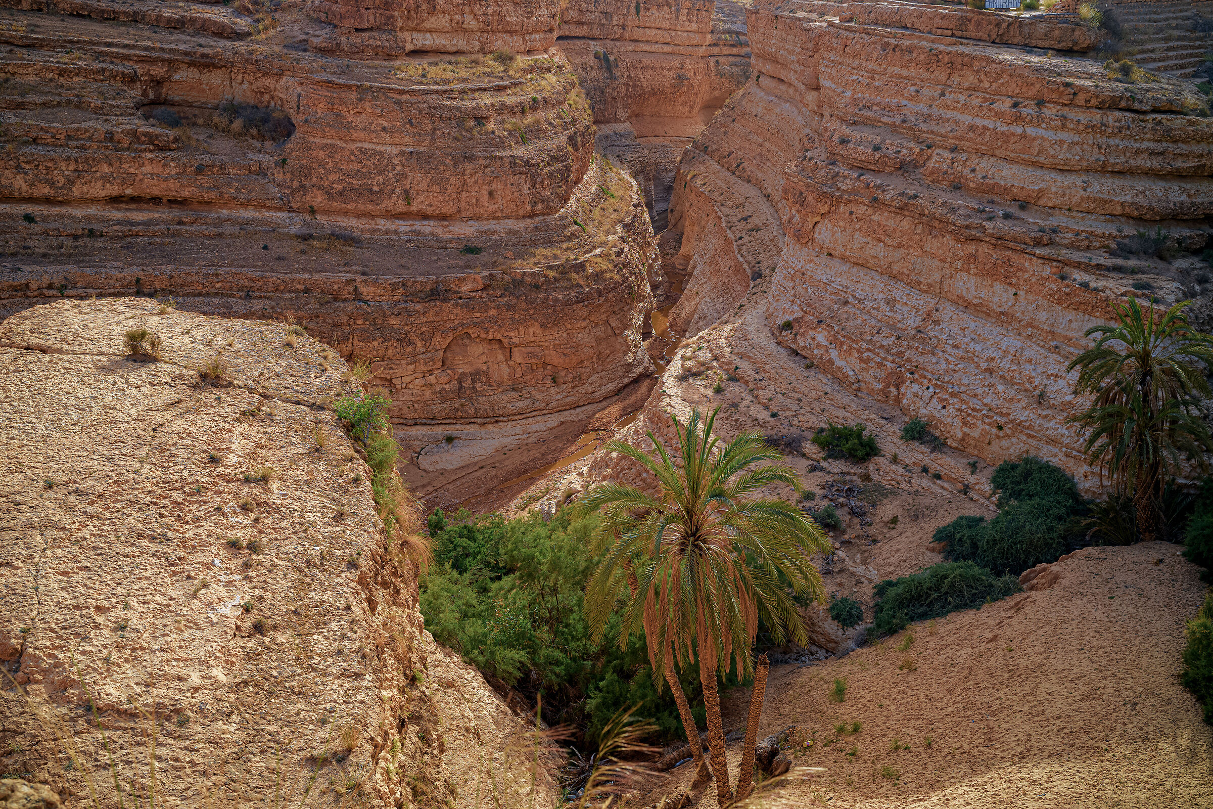 Geography of Silence