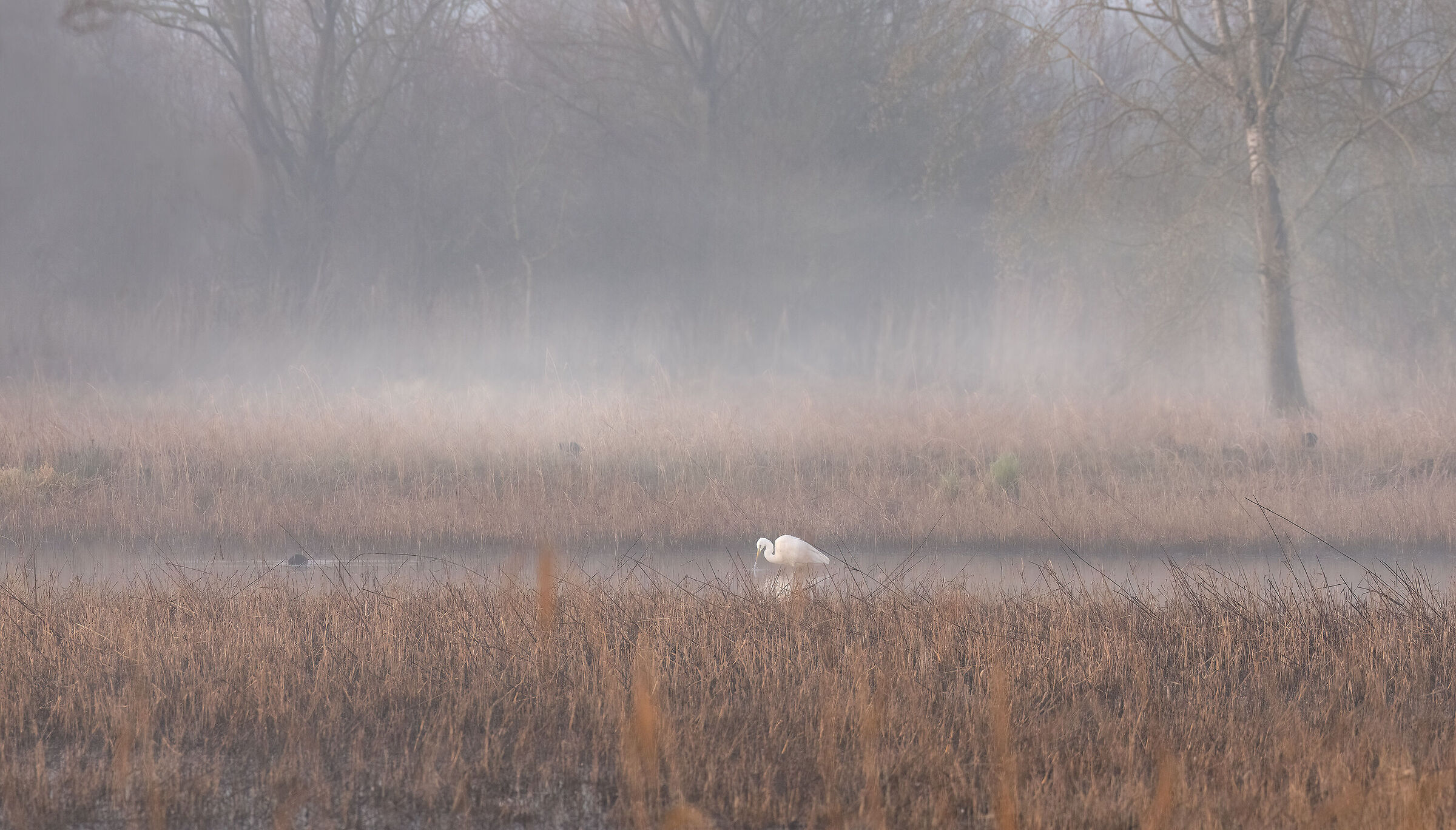 valli alle prime luci