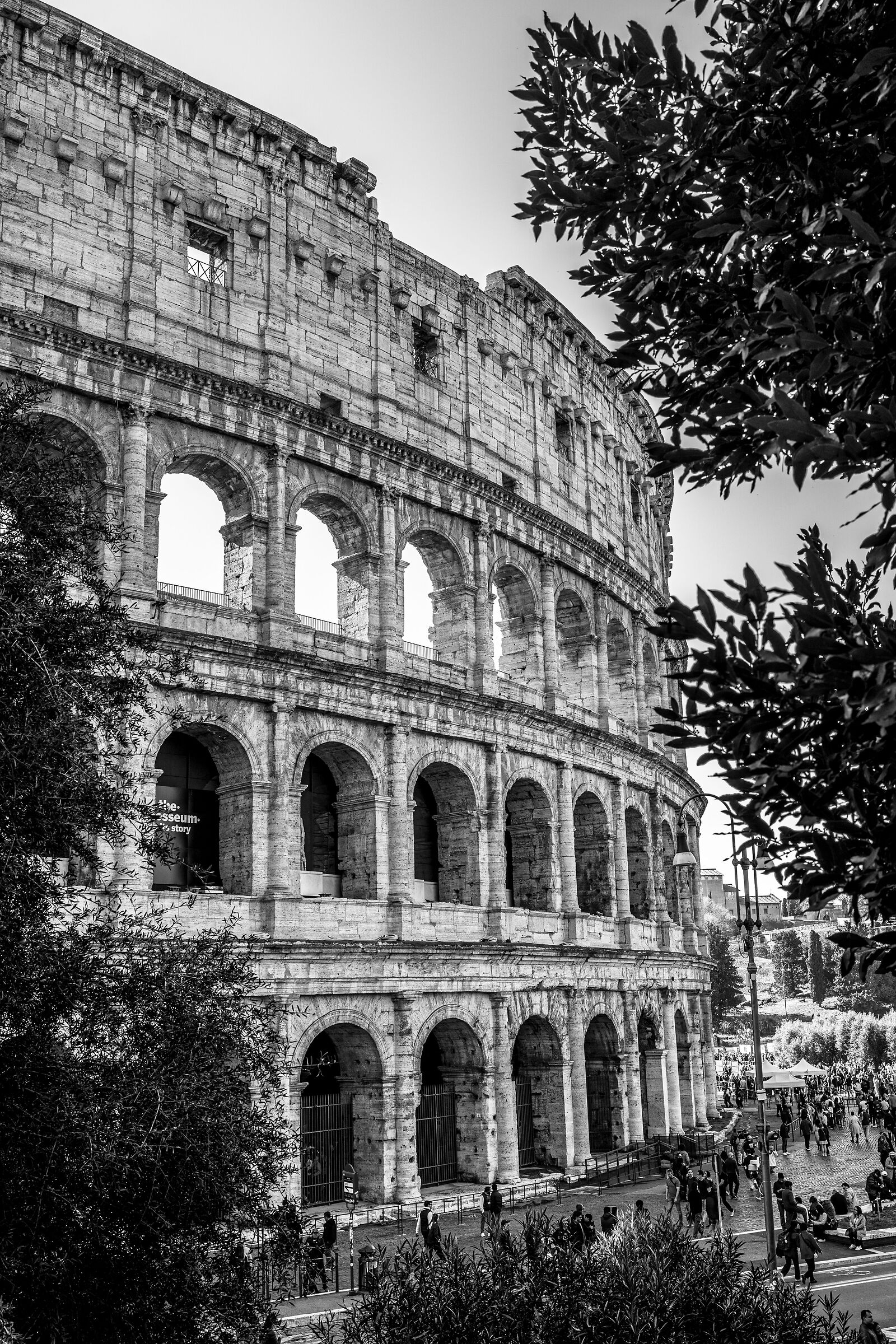 colosseo