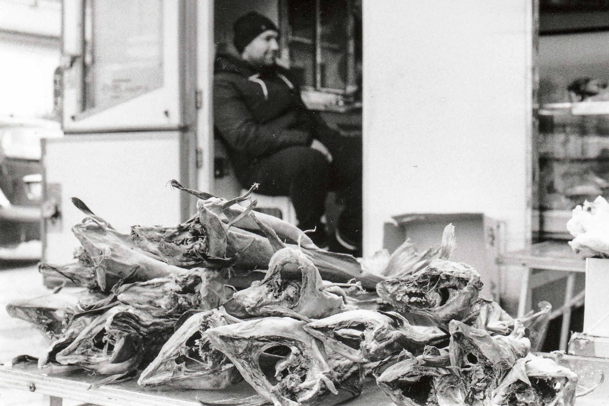 Fish Market