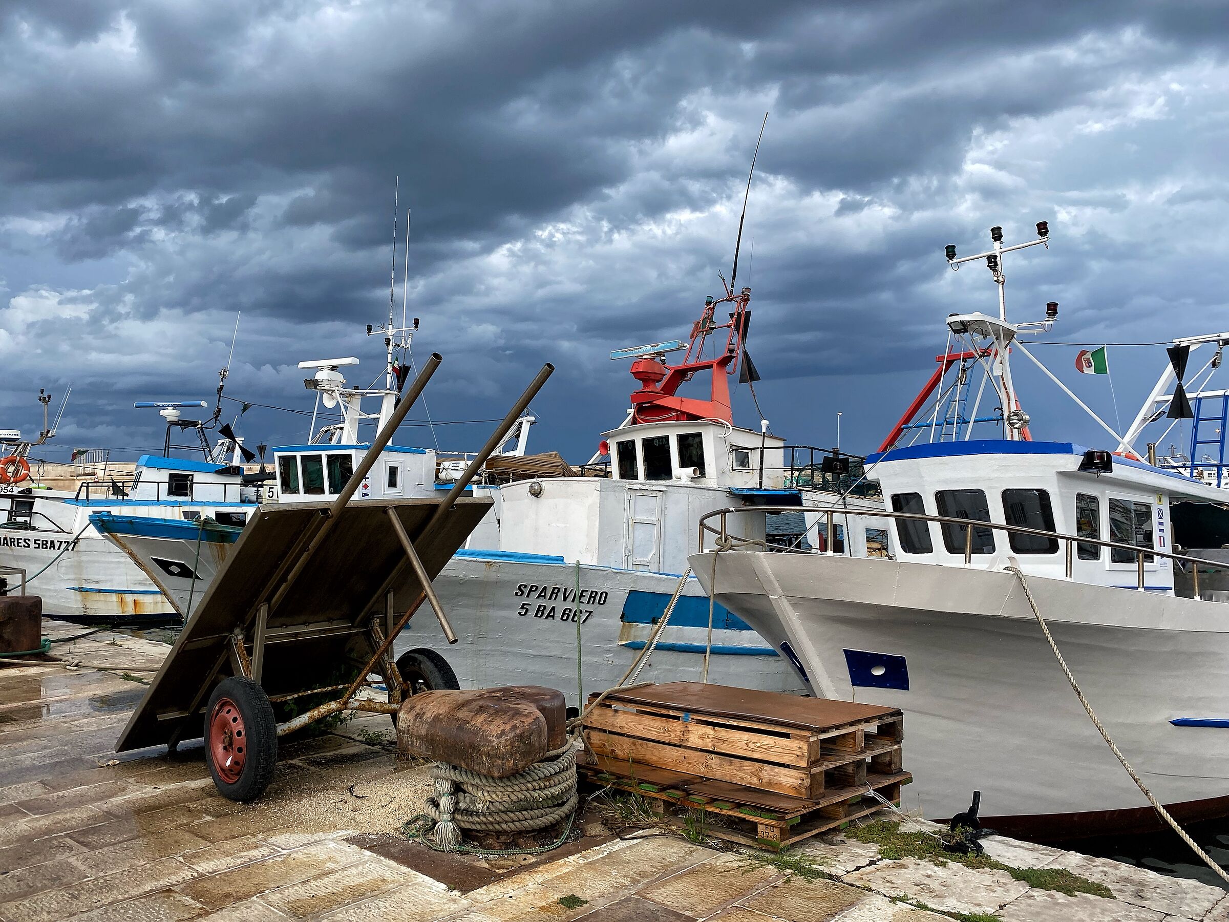 Apulia - Mola di Bari