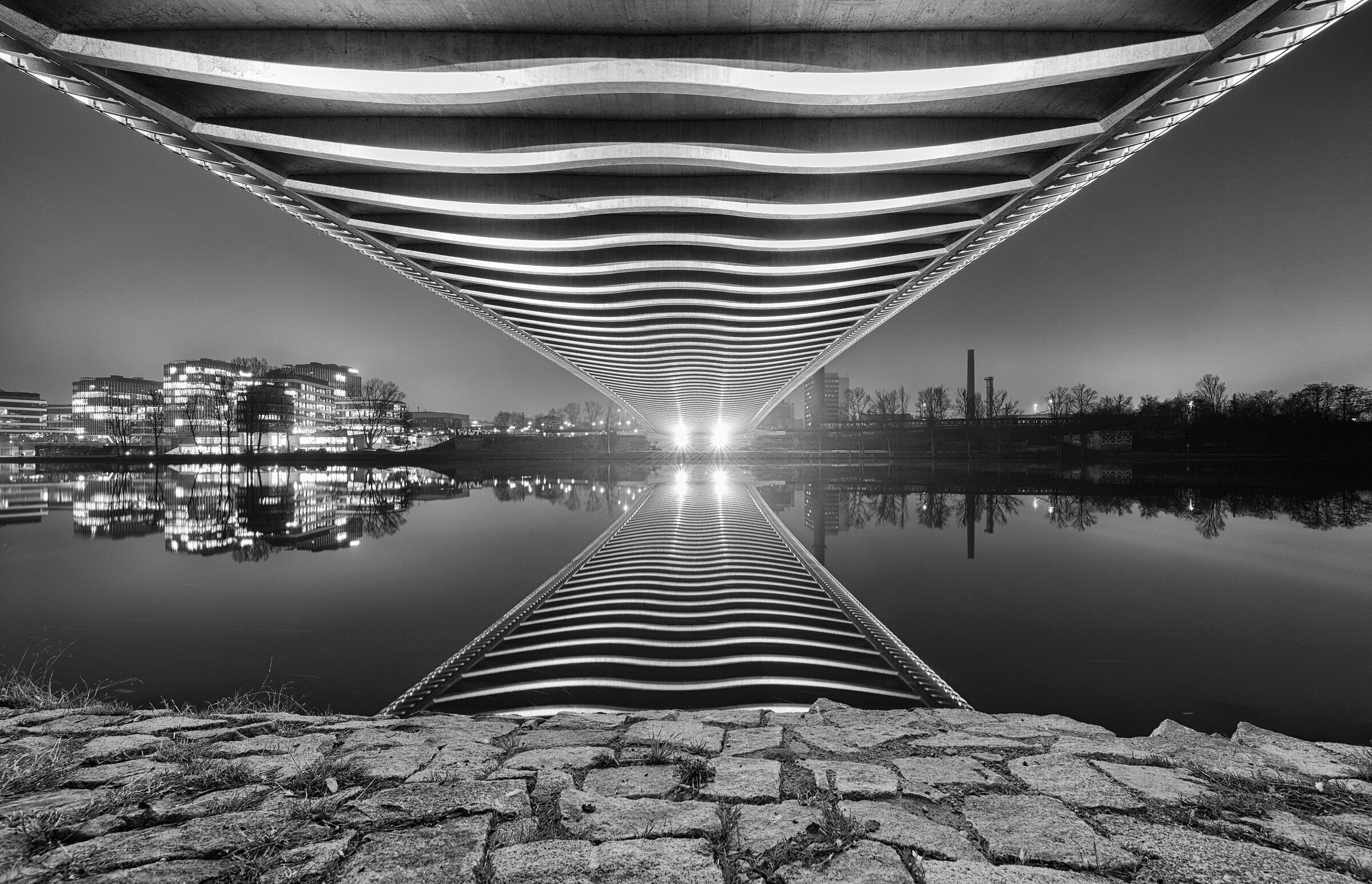 Il pipistrello sotto il ponte...