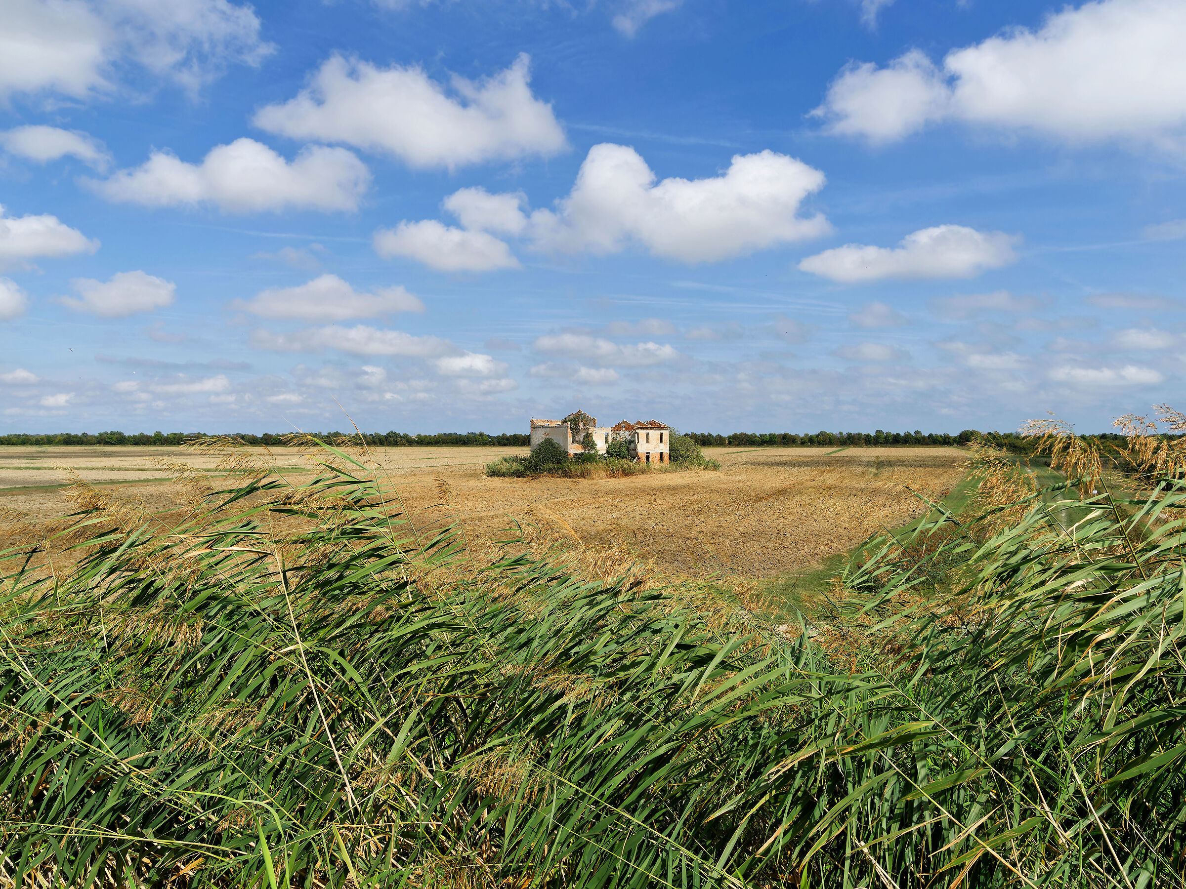 Il Polesine ed il delta del Po