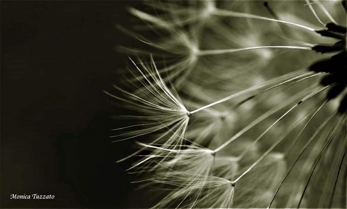 La natura meravigliosa