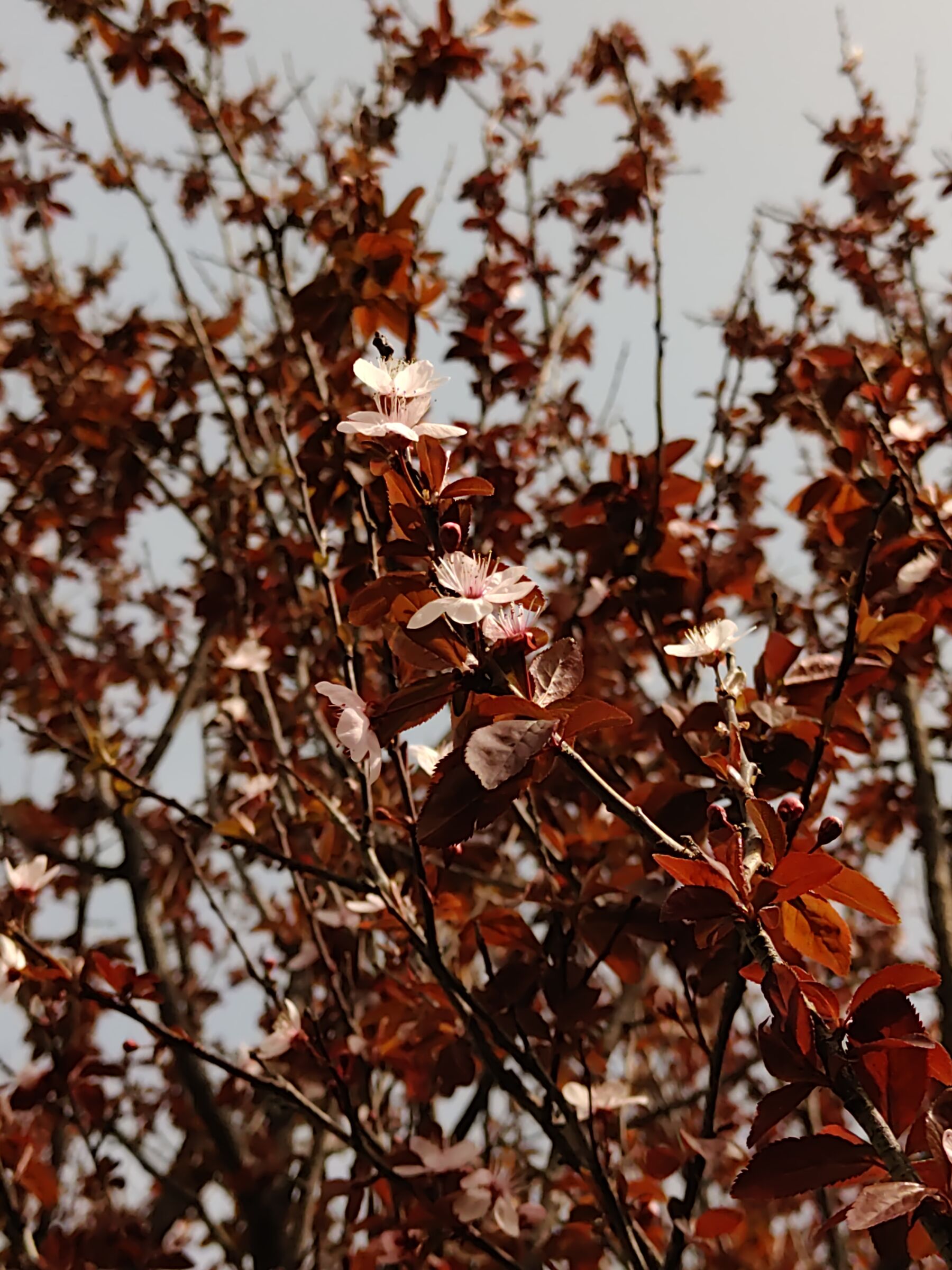 Hint of spring
