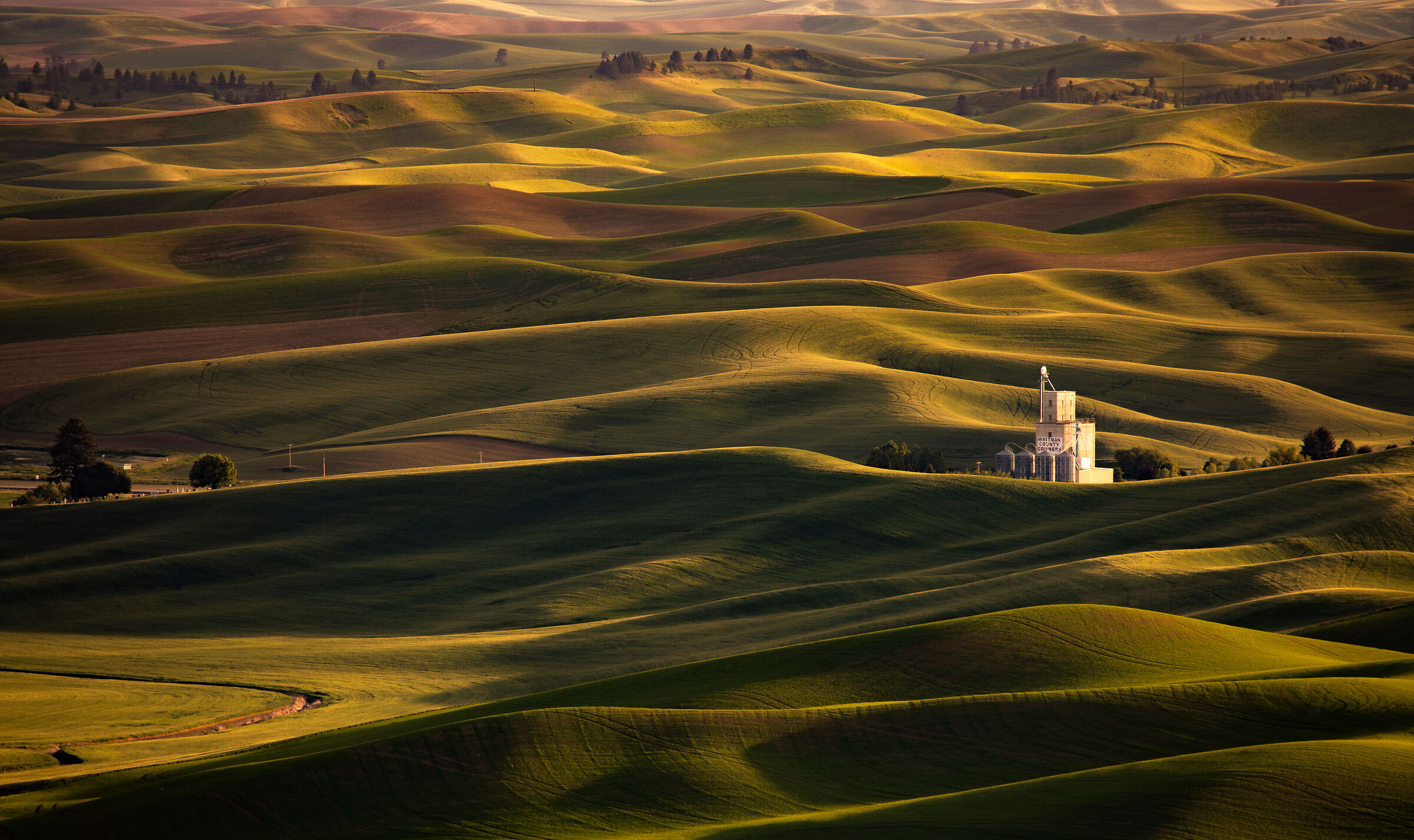 Palouse