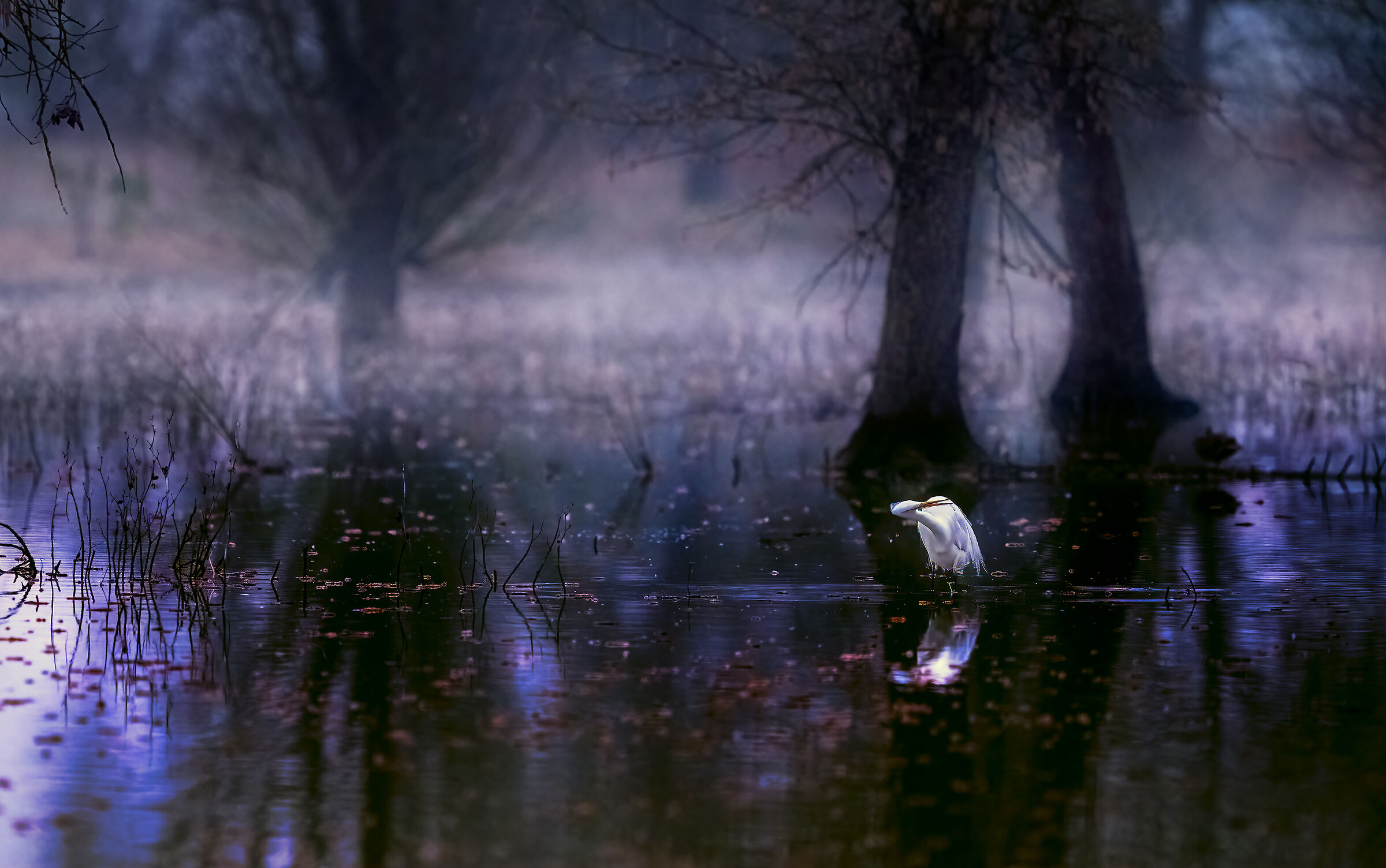 the evanscence and lightness of being