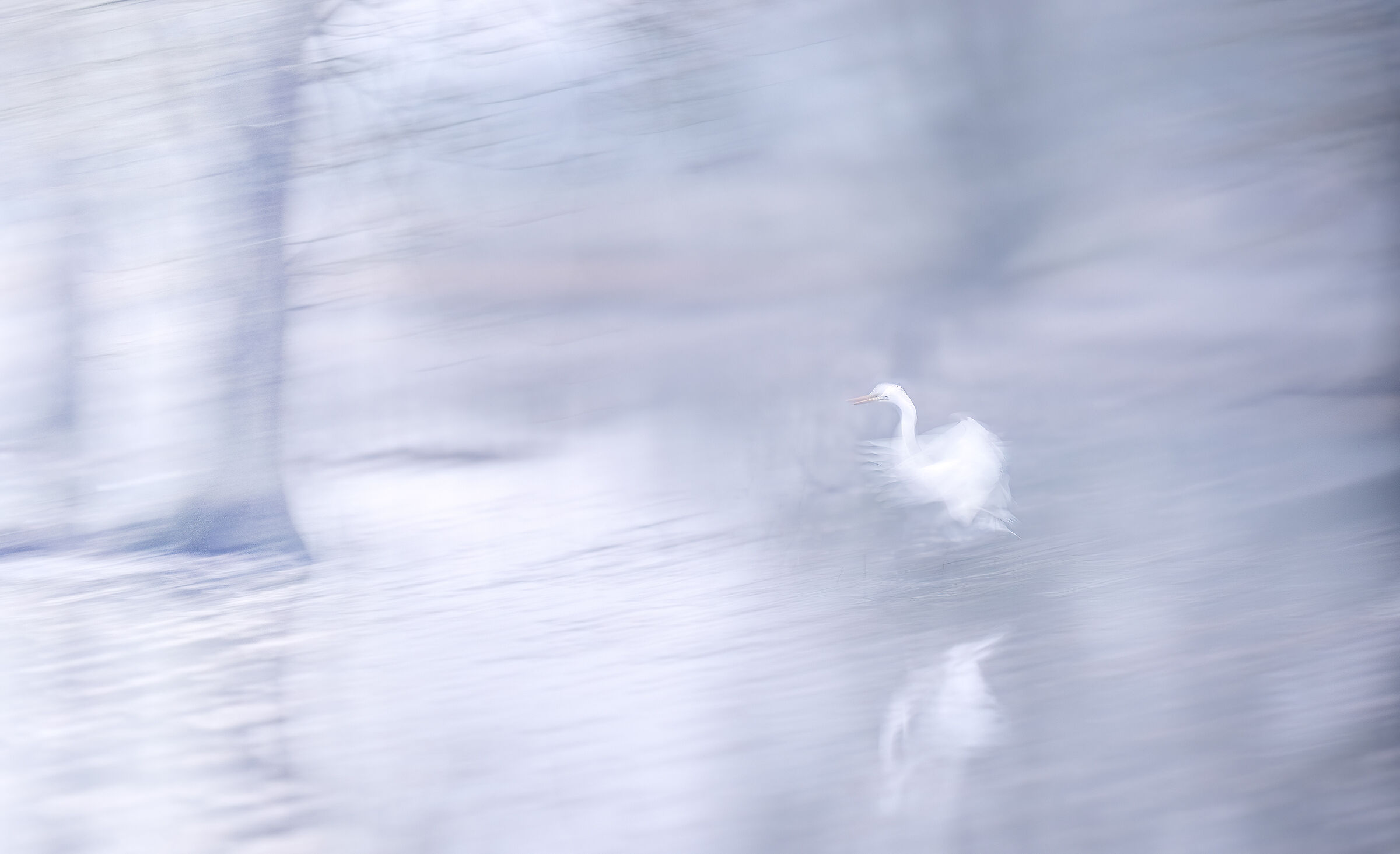 the evanescence and lightness of being