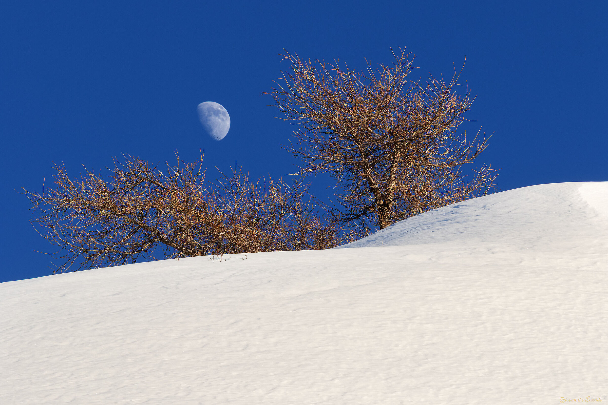 ... The moon is talked about...