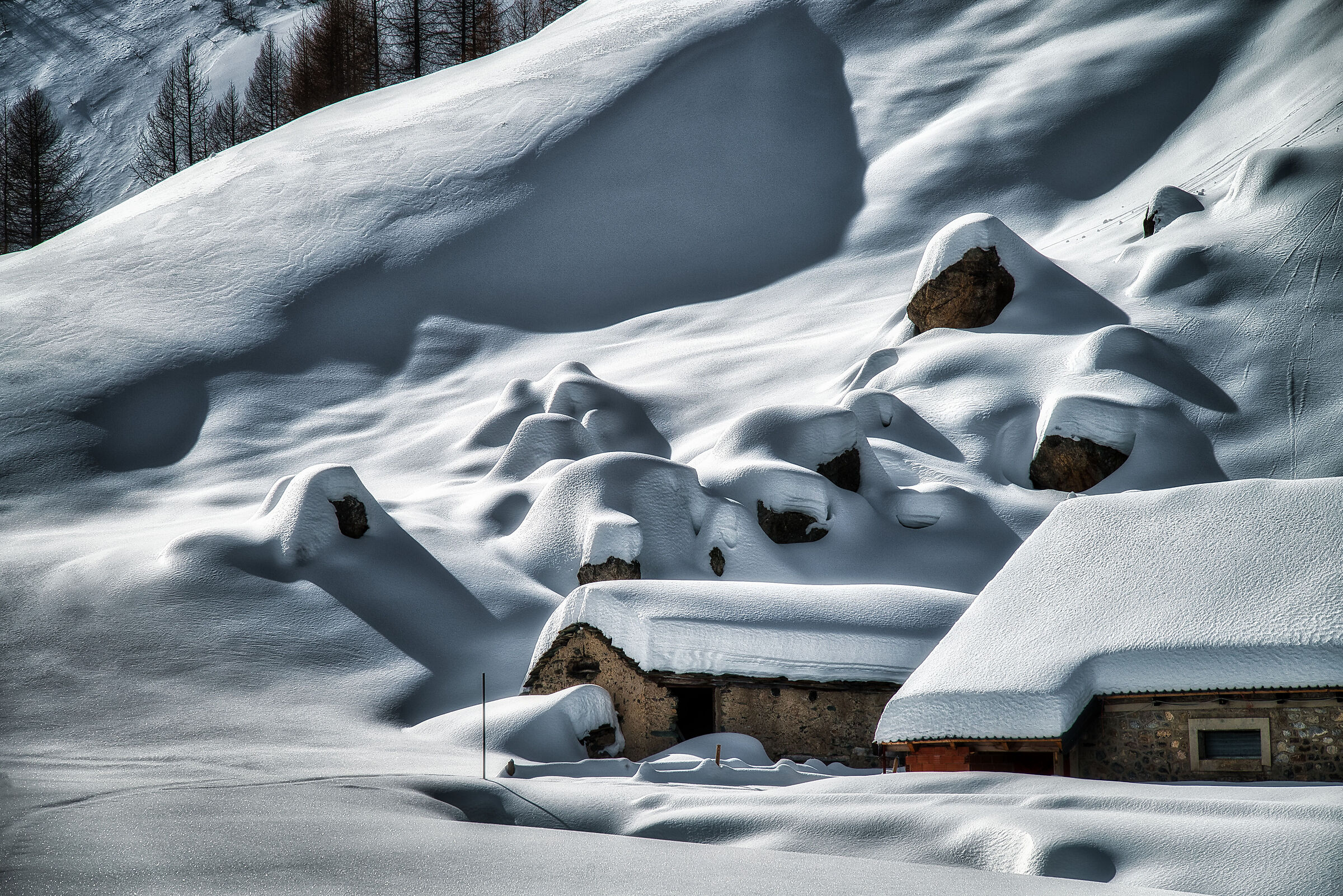The monsters of Prato Ciorliero