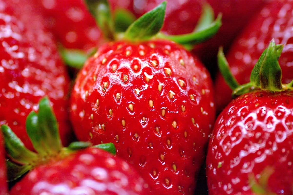 Il bello di guardare le cose da vicino