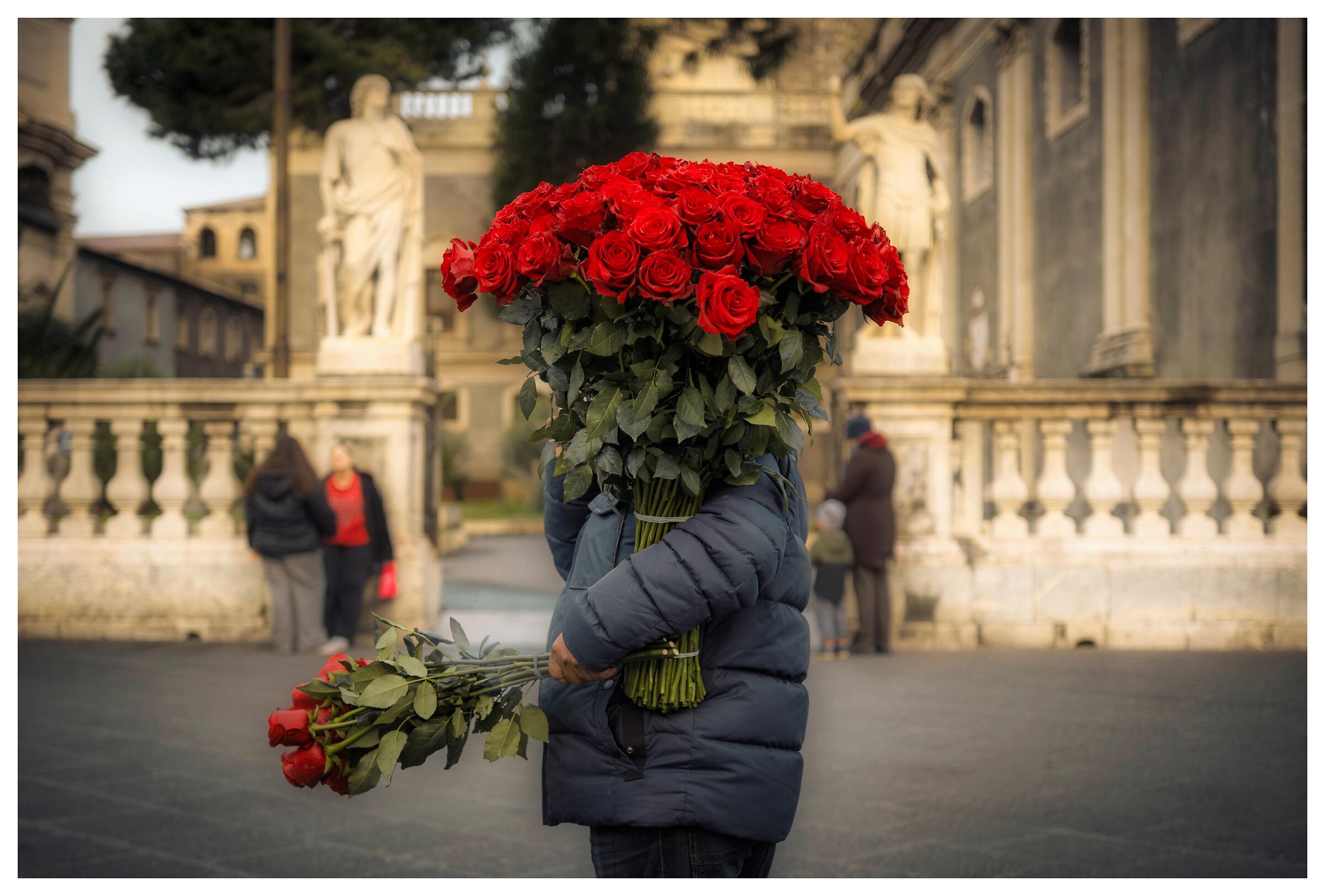 Red Roses