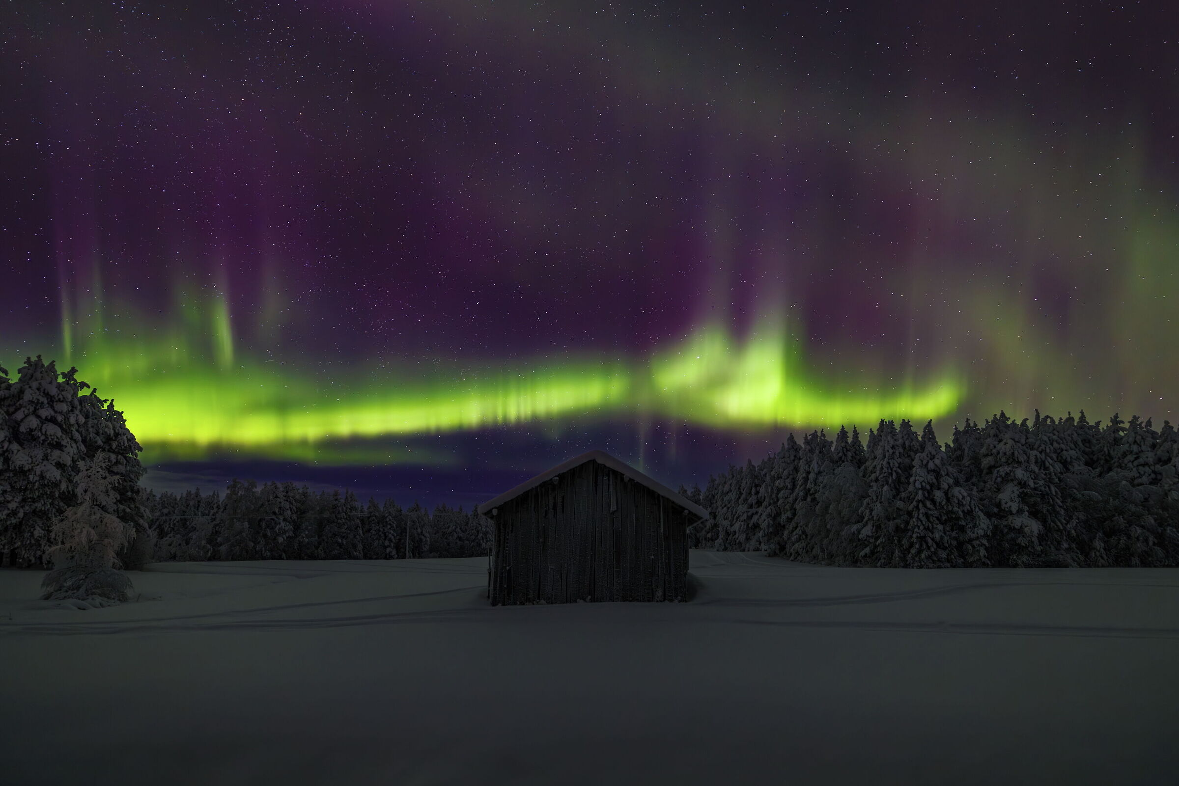 a caccia dell' aurora