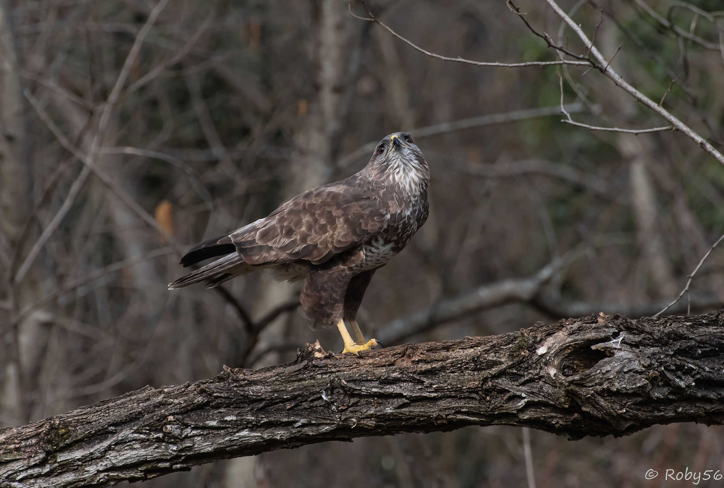 A look at the sky...