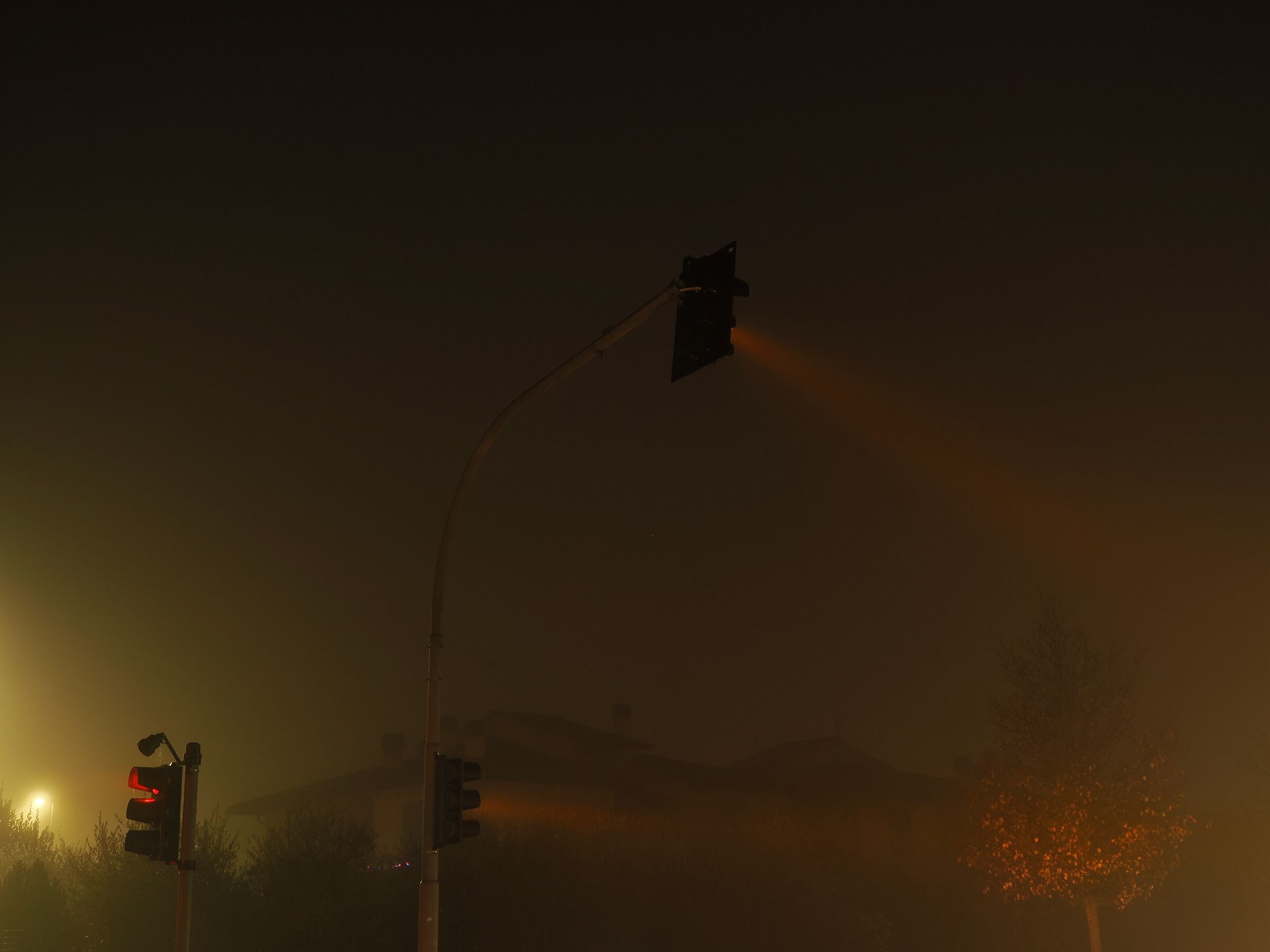 Traffic lights in the fog