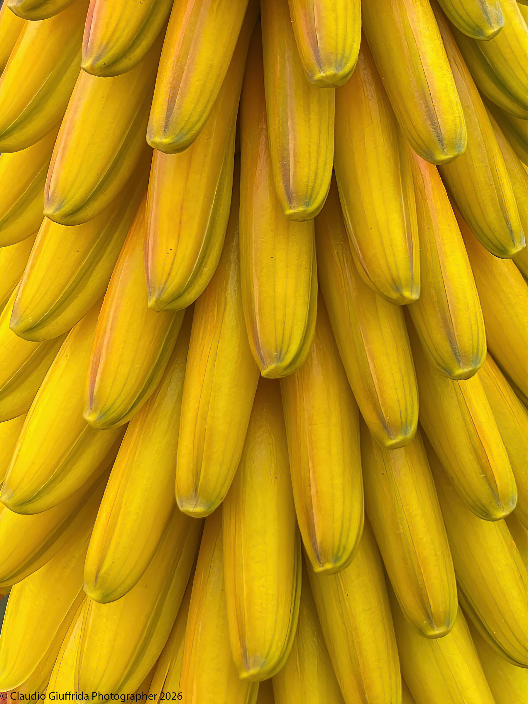 L’apparenza inganna.