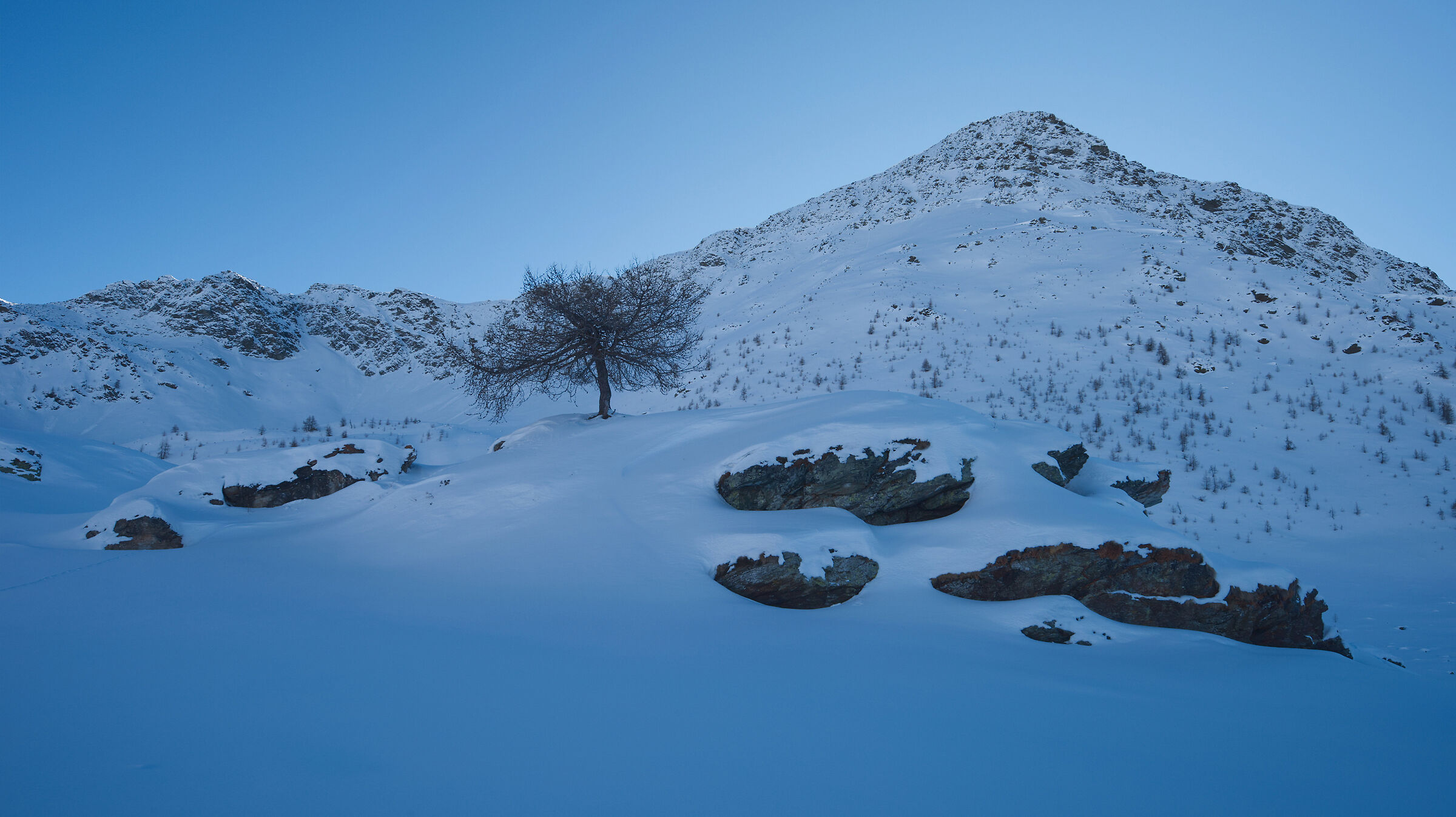 Val d'Aosta-January 2024 snowshoeing Artaz-Alpe Champlon