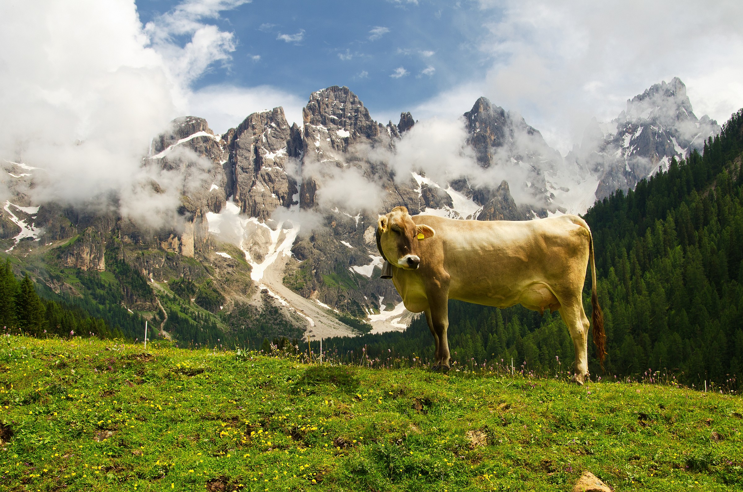 choose! Either me or the panorama