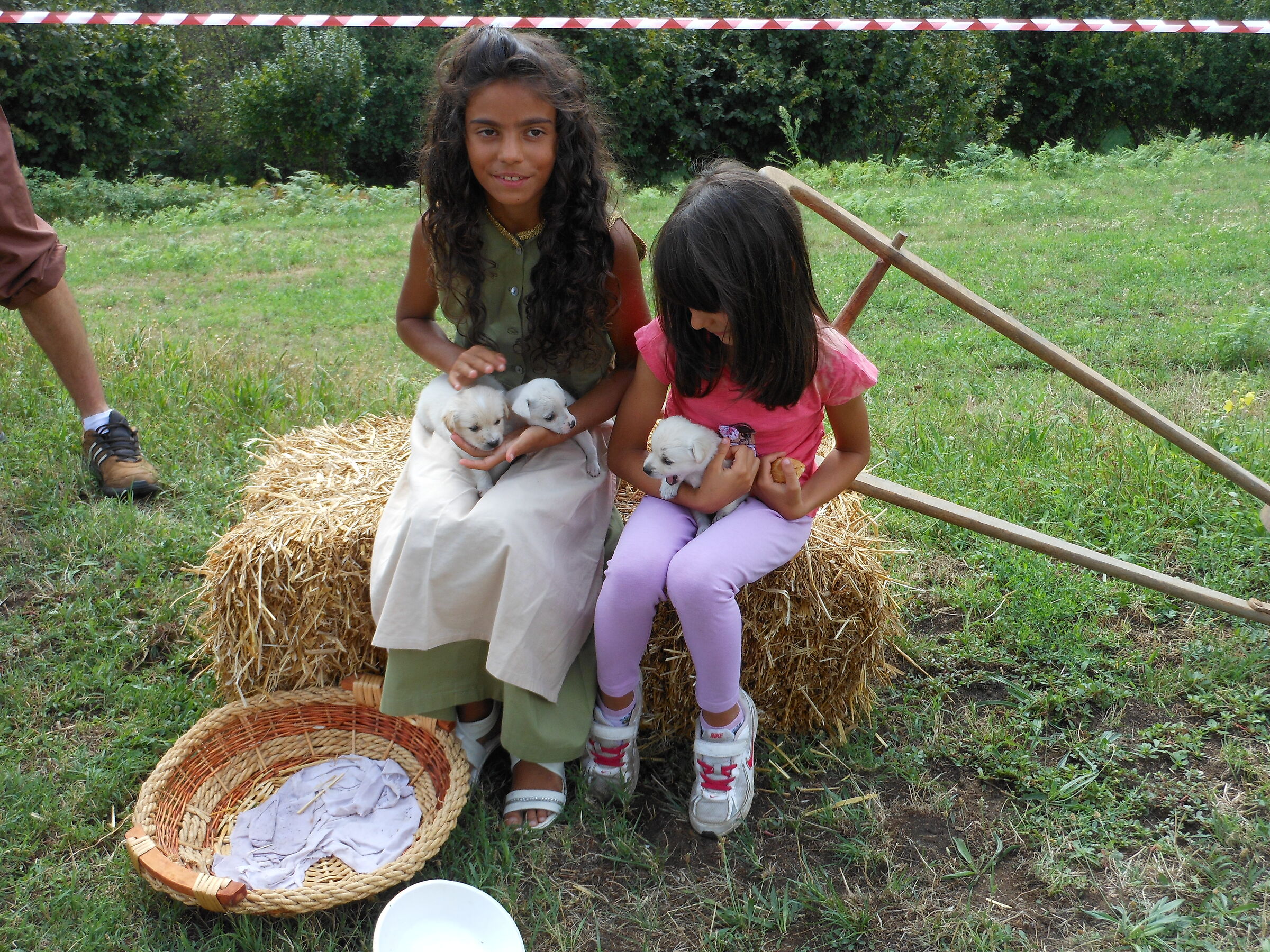 (Torre Pellice) animal sellers