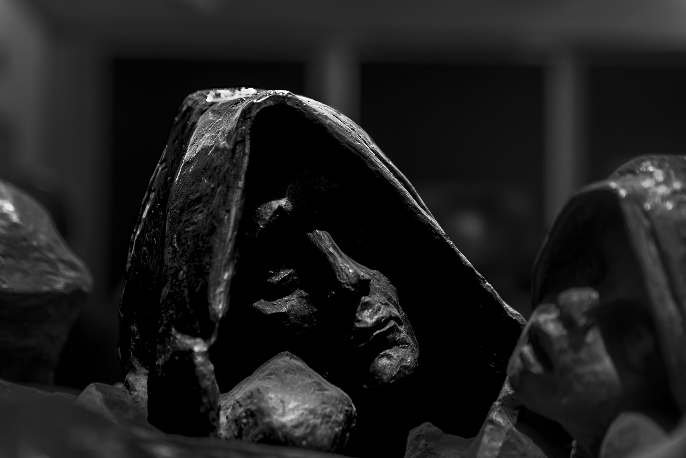 Auschwitz Suffering 3