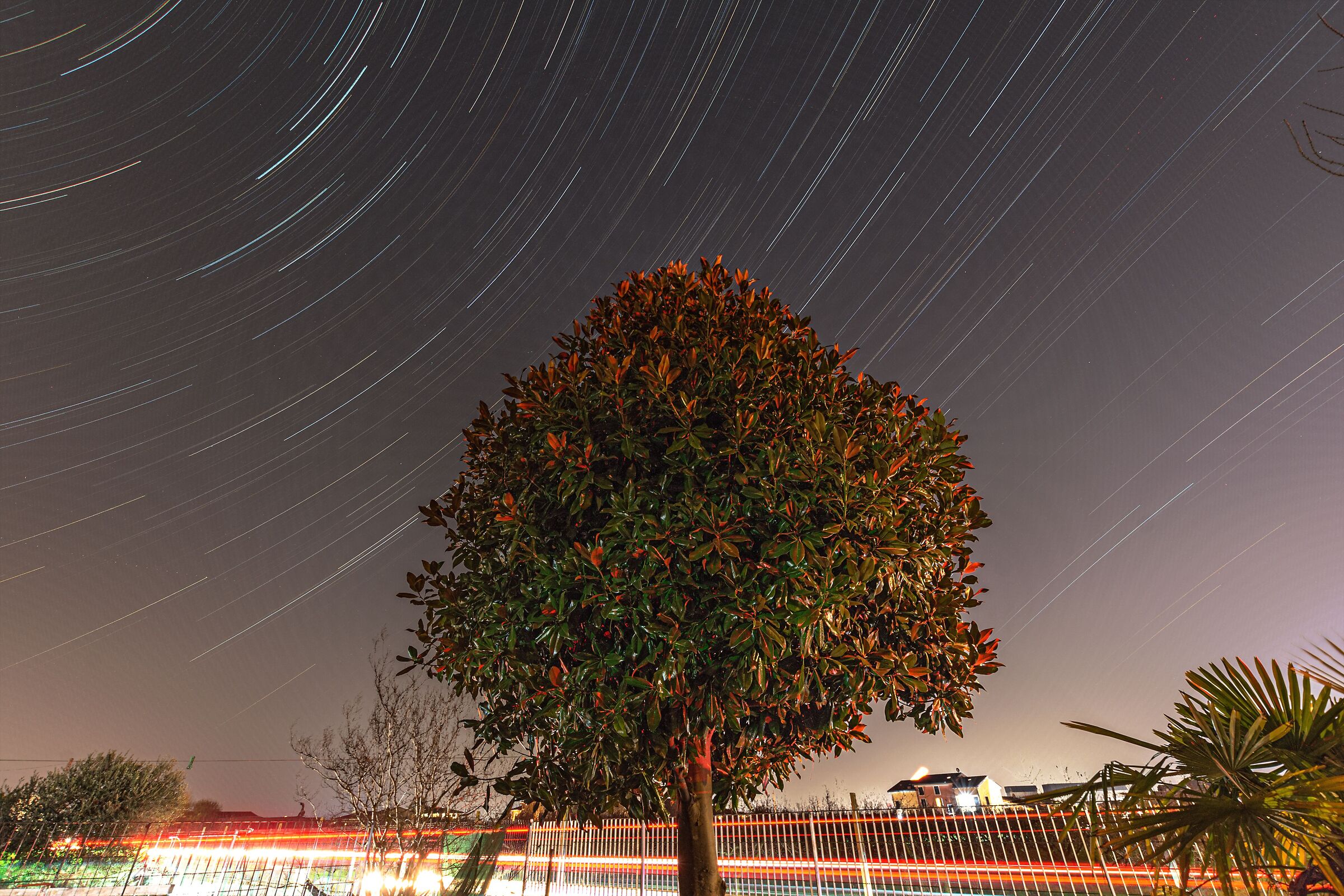 Alla velocità della luce...