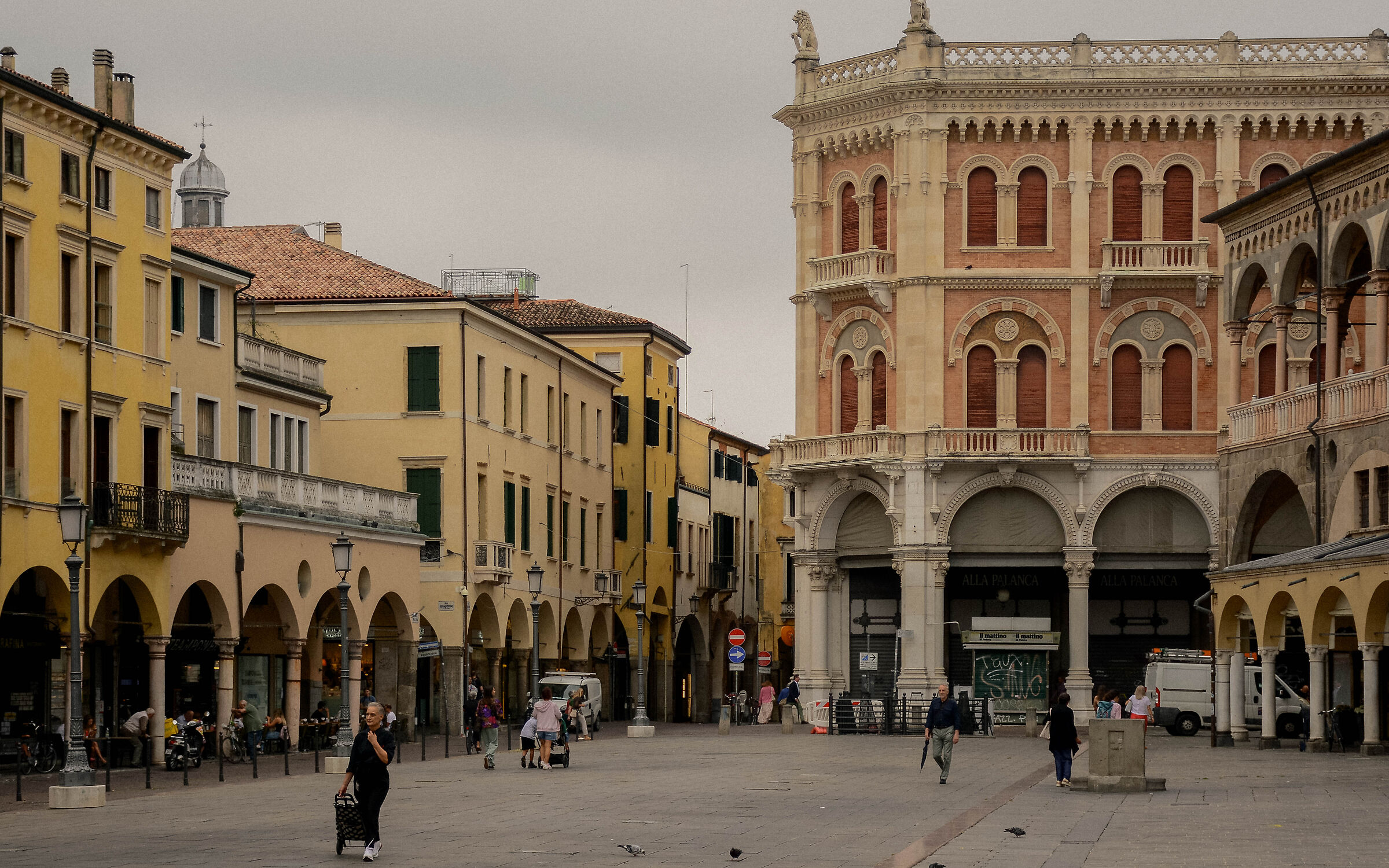 Square without herbs