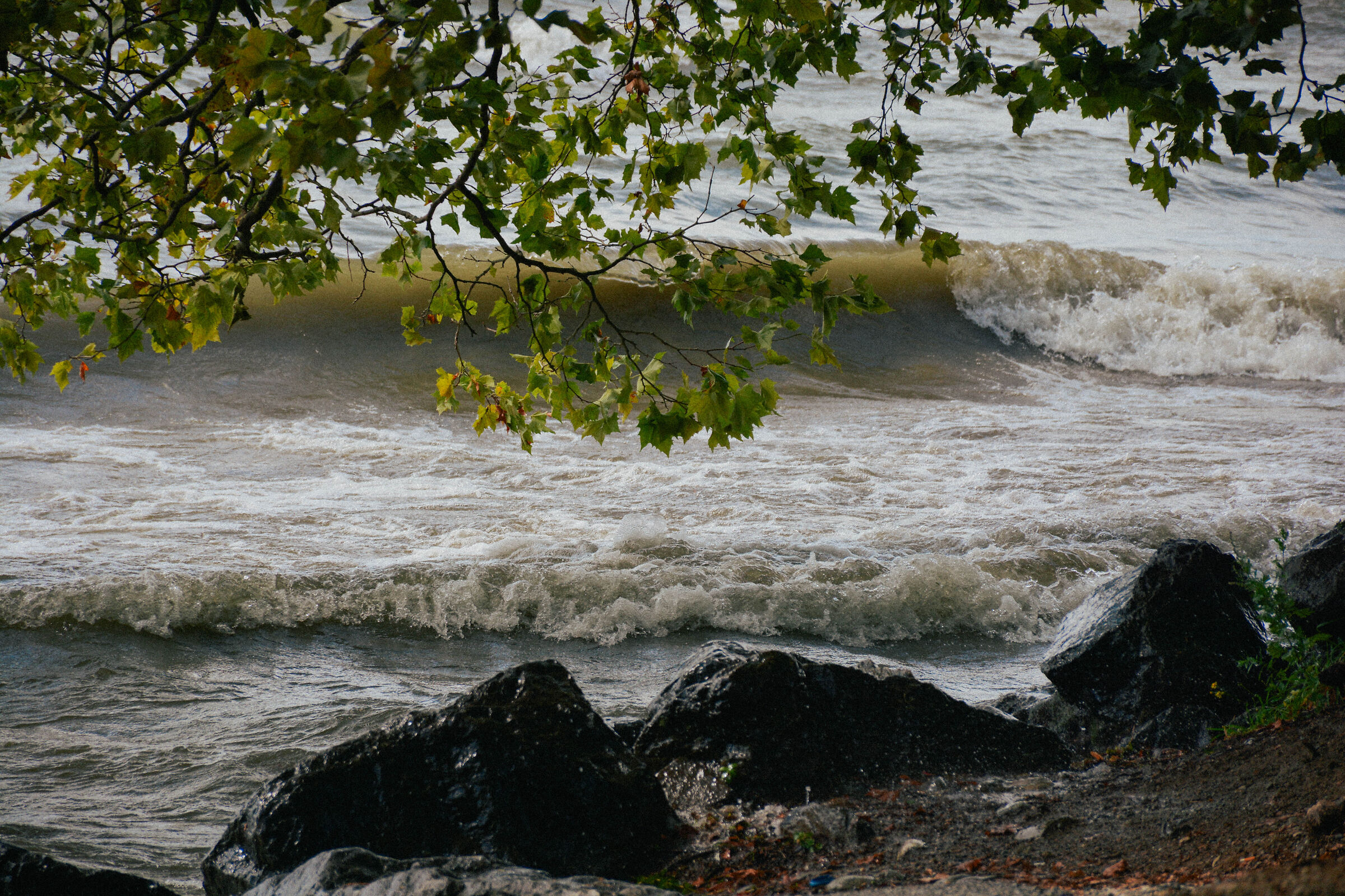 Dreams almost shattered