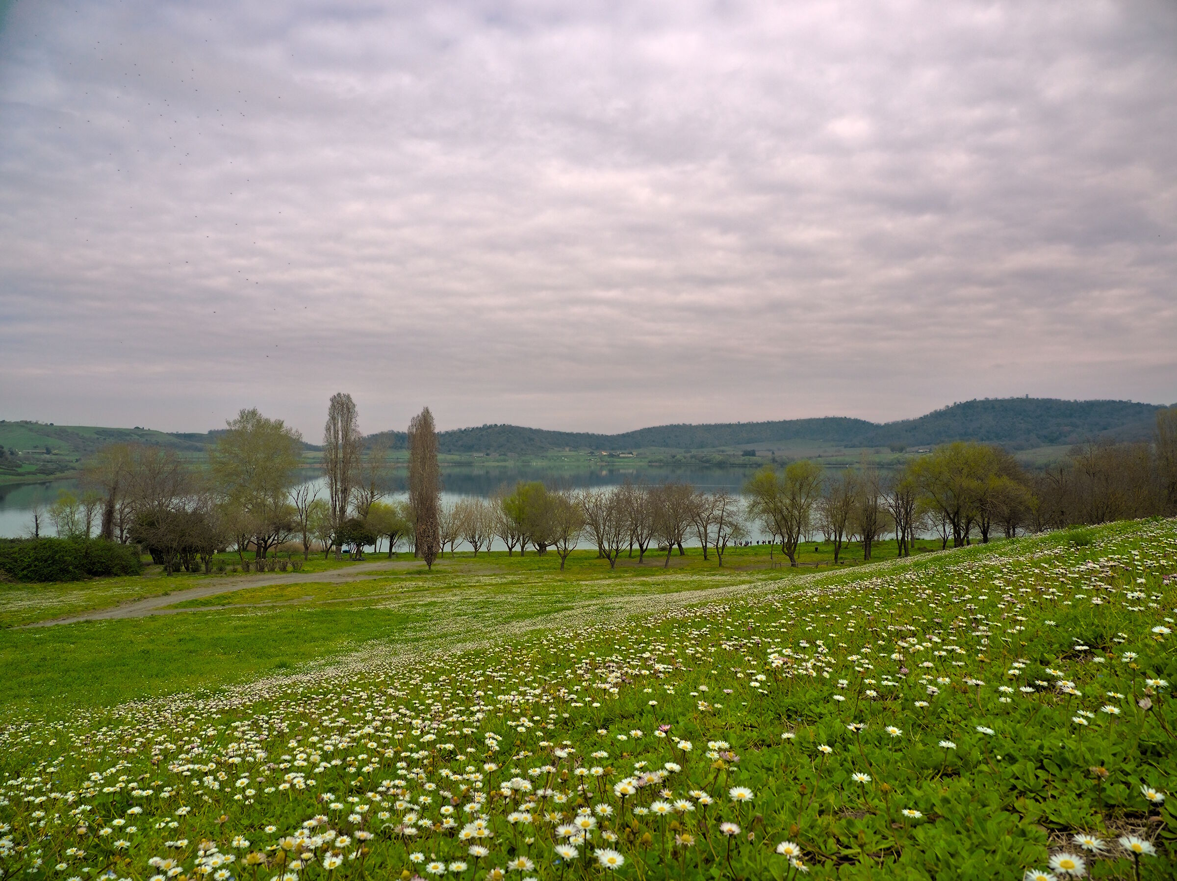 Gloomy day at Lake Martignano