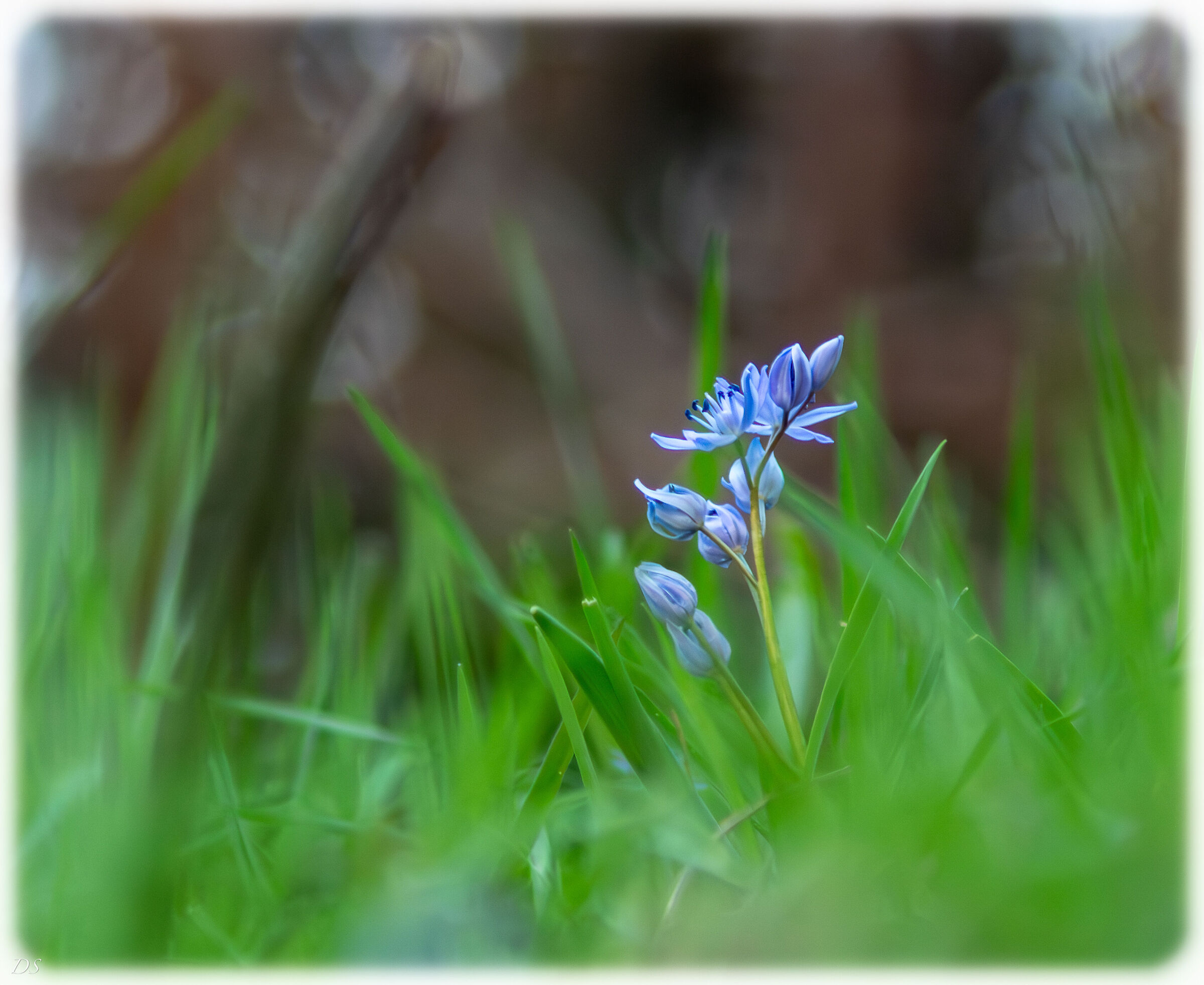 Small Miracles of Nature