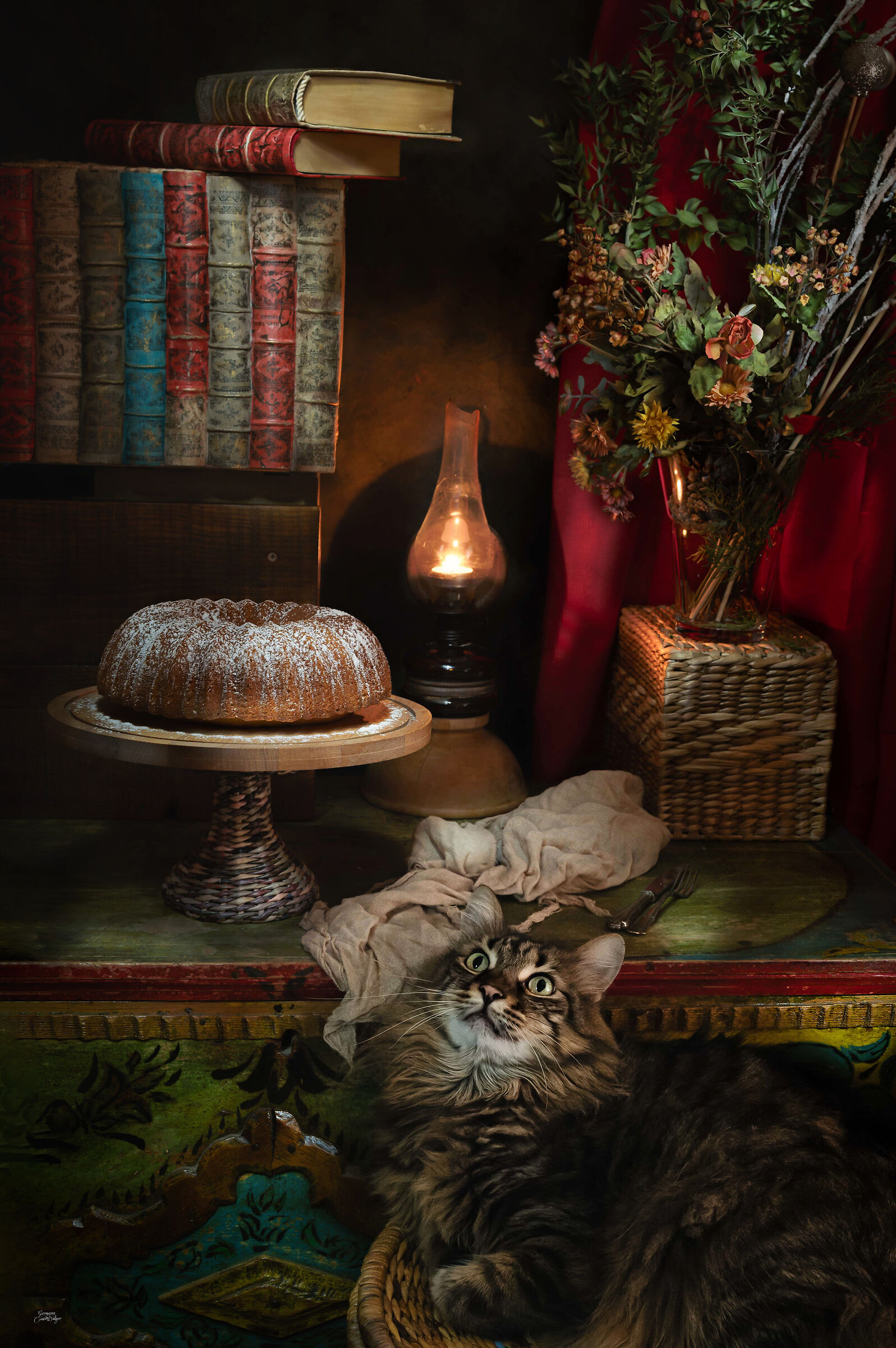 Ciambella, libri e Leo