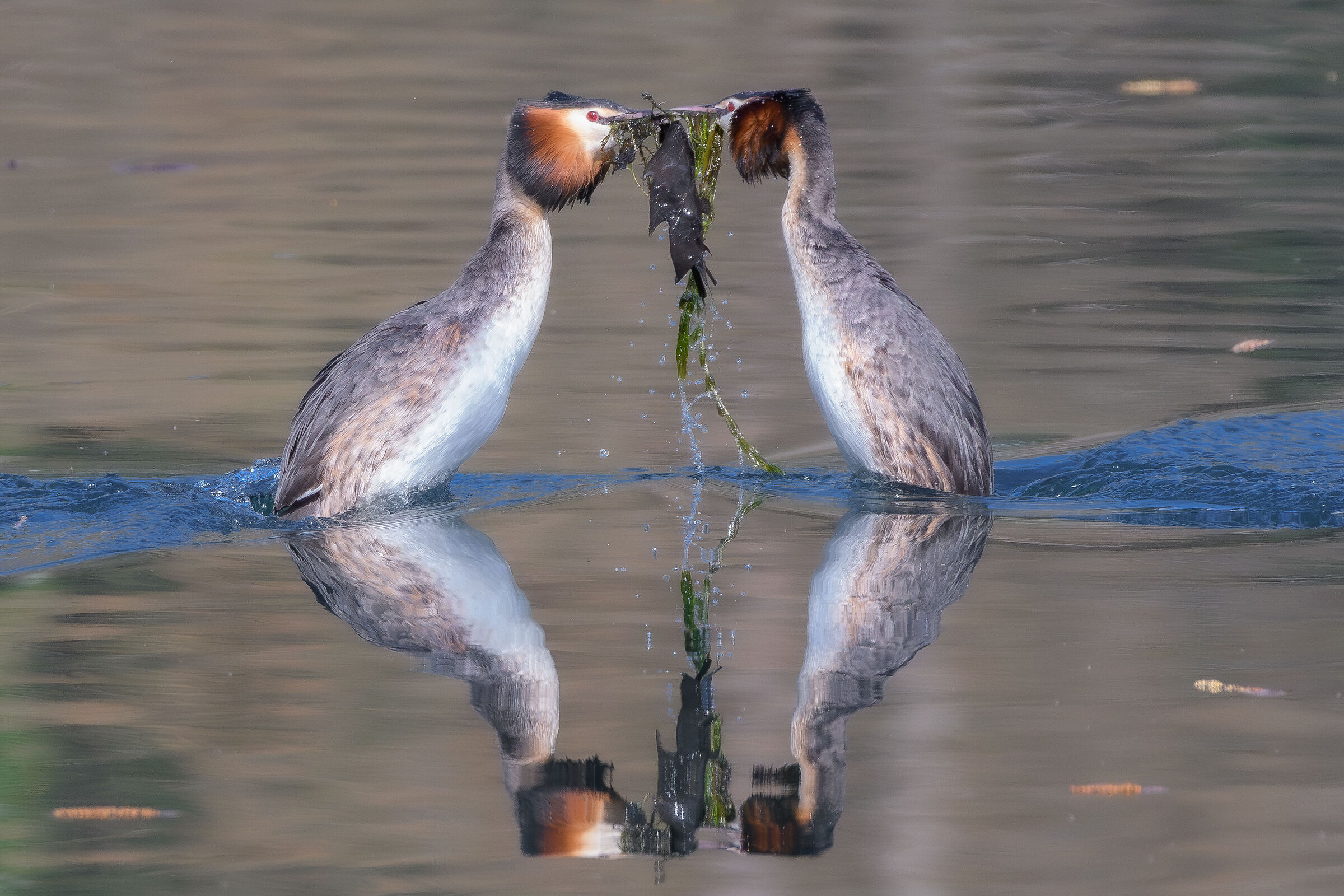 La stagione degli amori