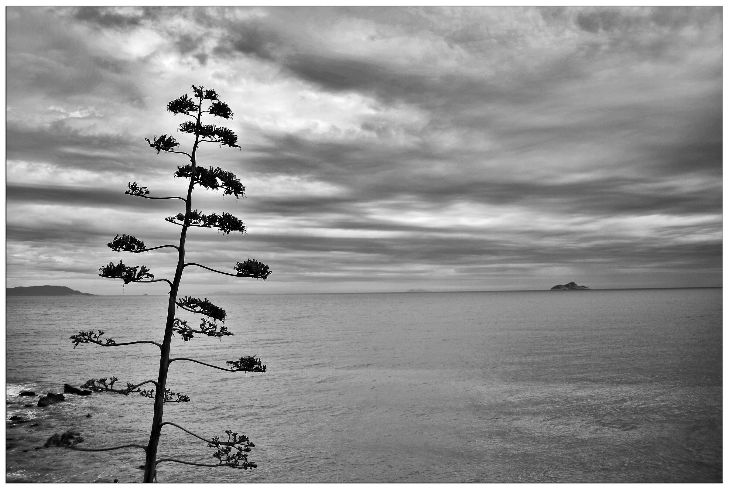 Piombino (LI) 5