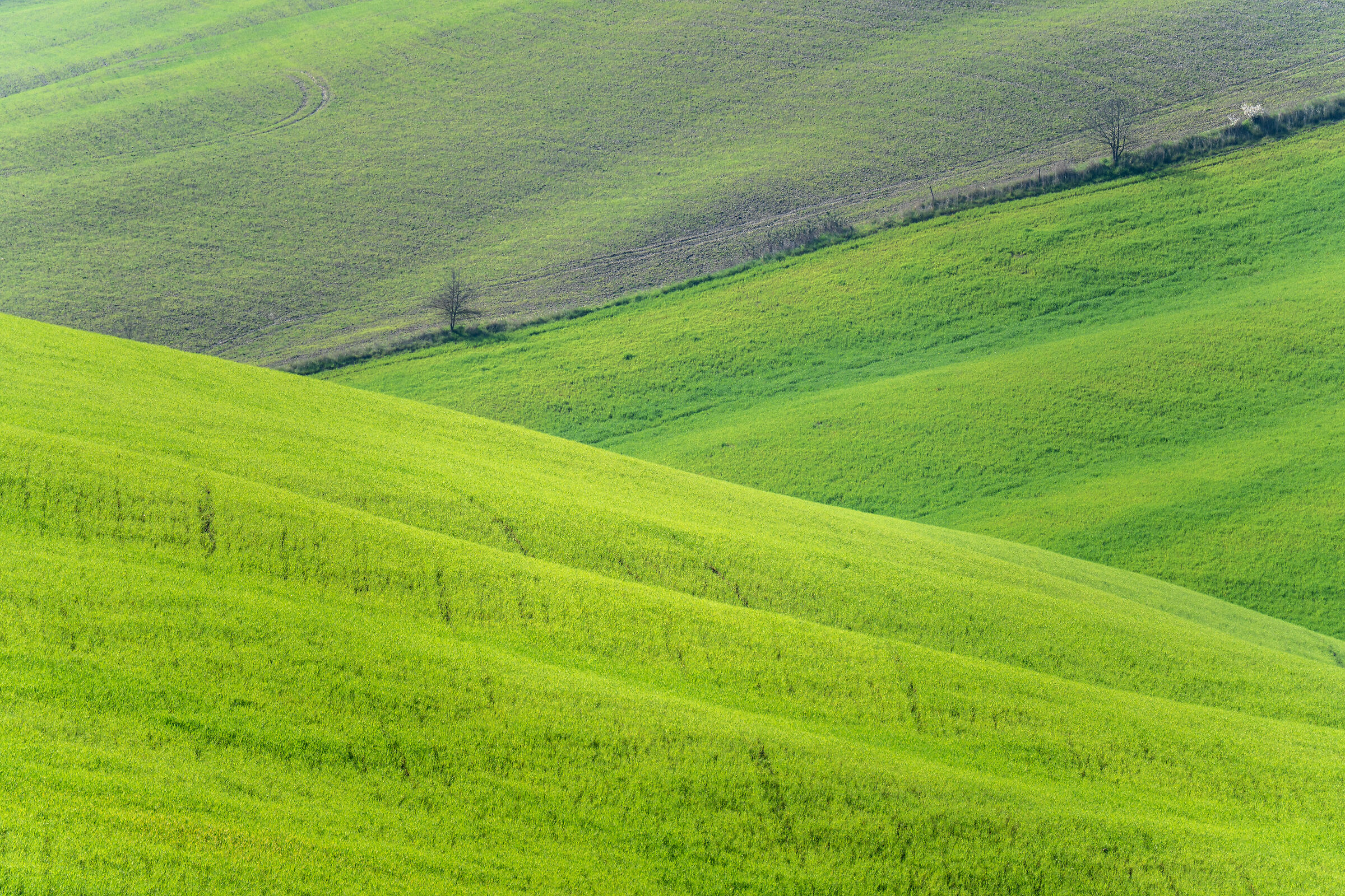 Val di Cecina