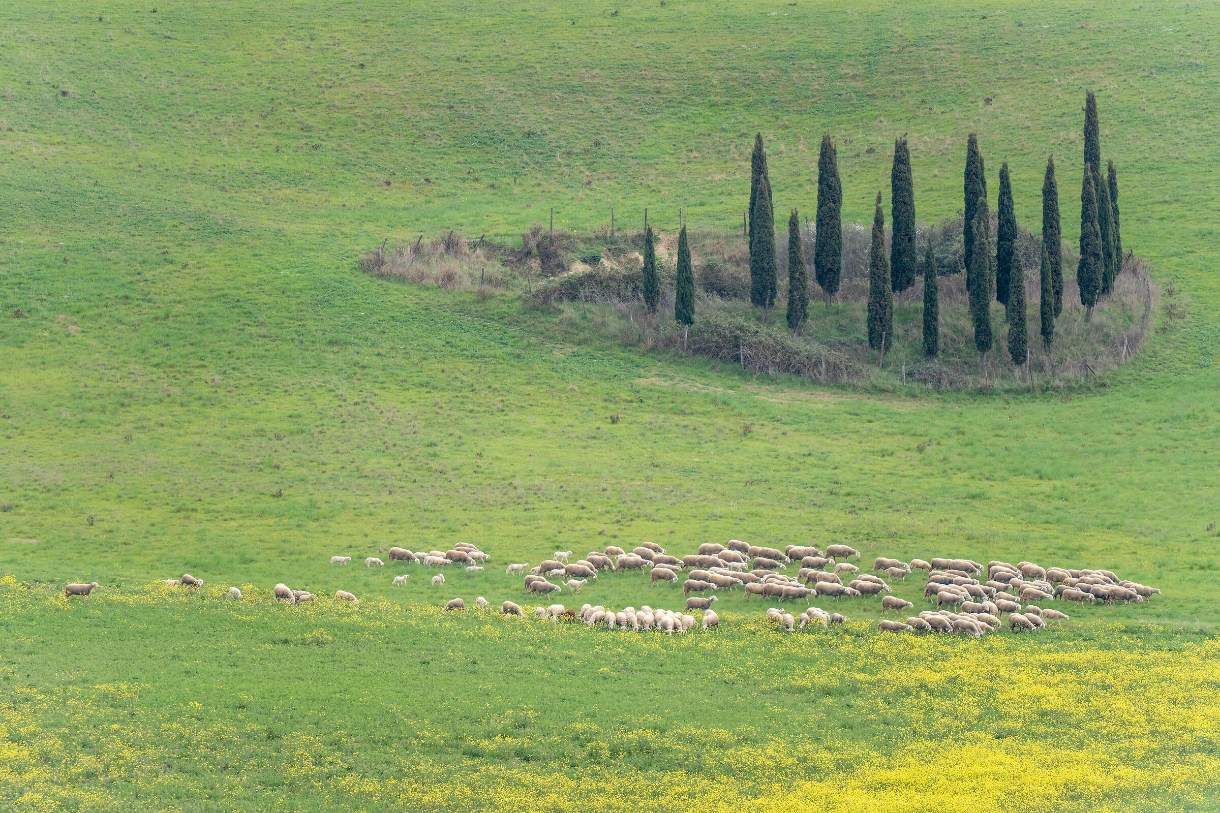 Val di Cecina