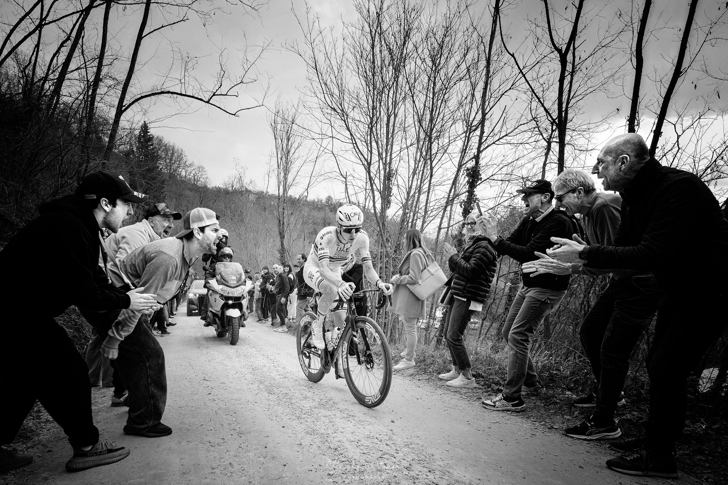 The triumph of the Champion