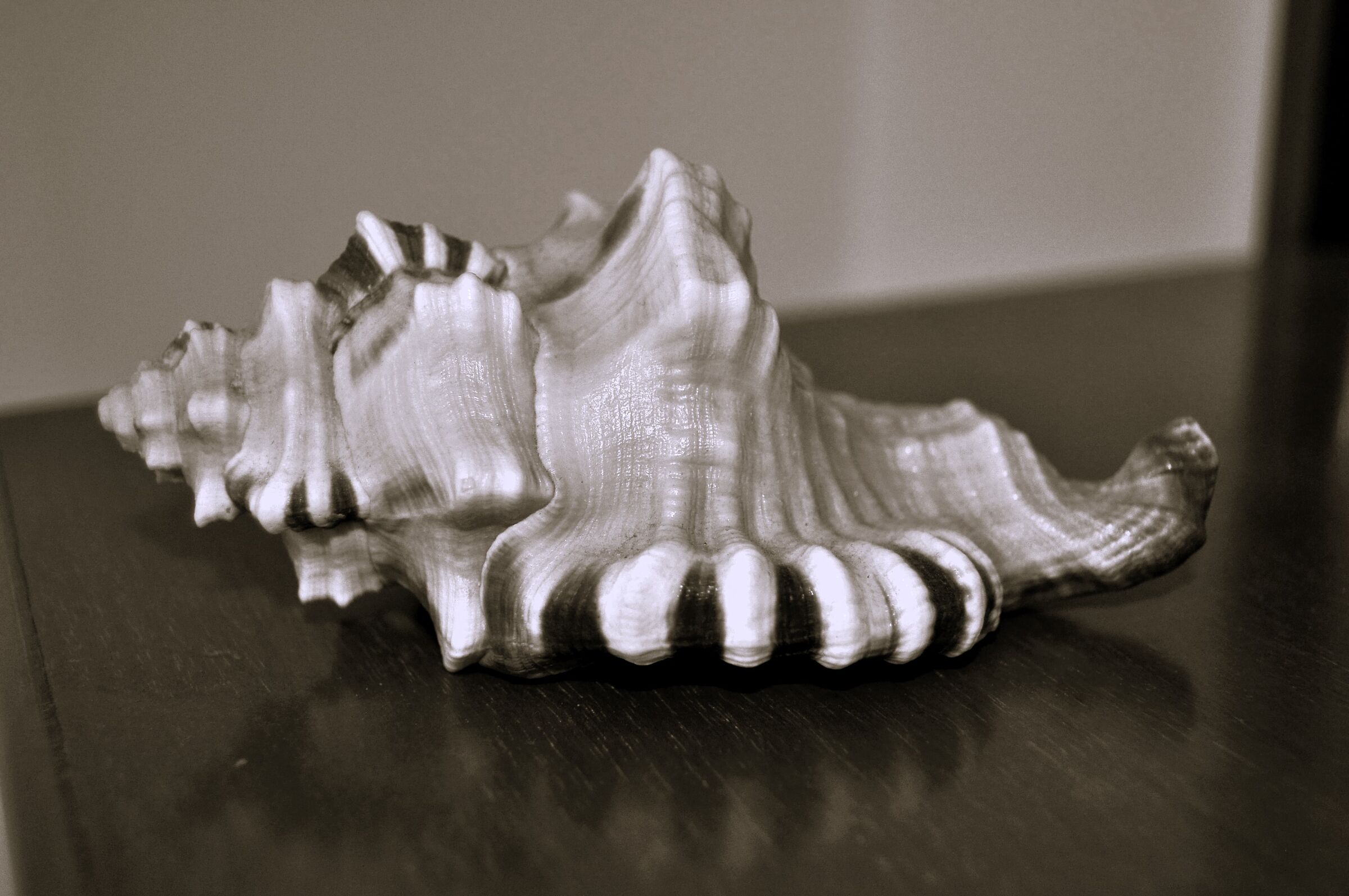 Black and white test 1