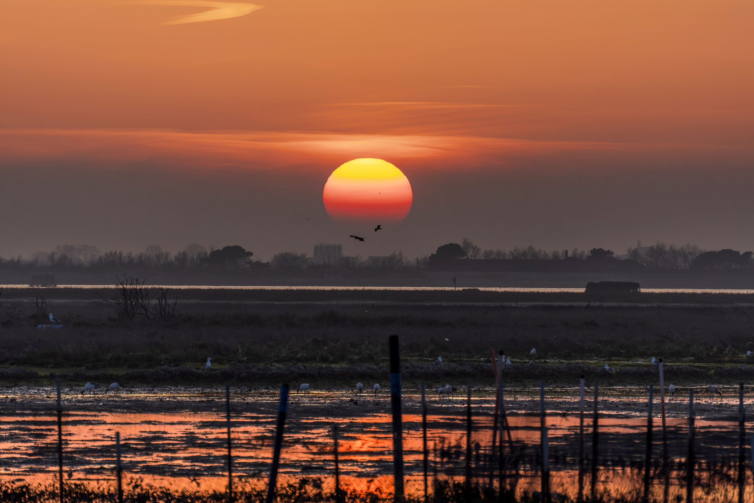 Sunset in Porto Caleri