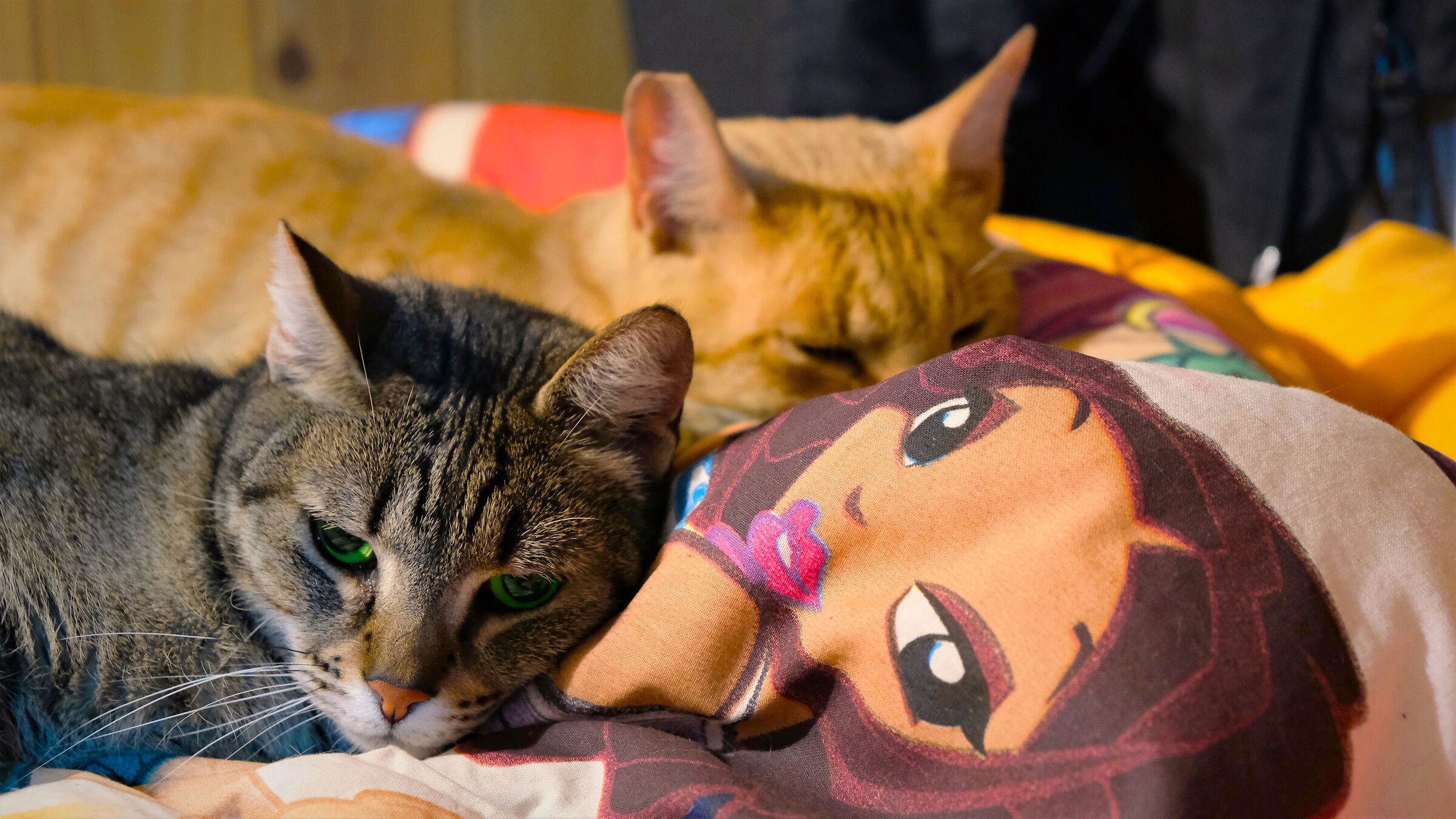 Momenti di vita quotidiana.