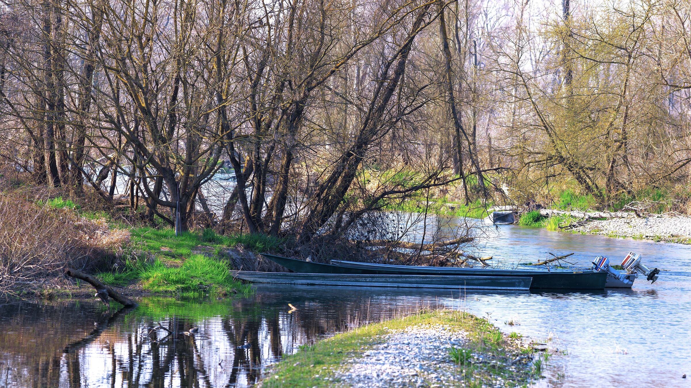 Risveglio di primavera