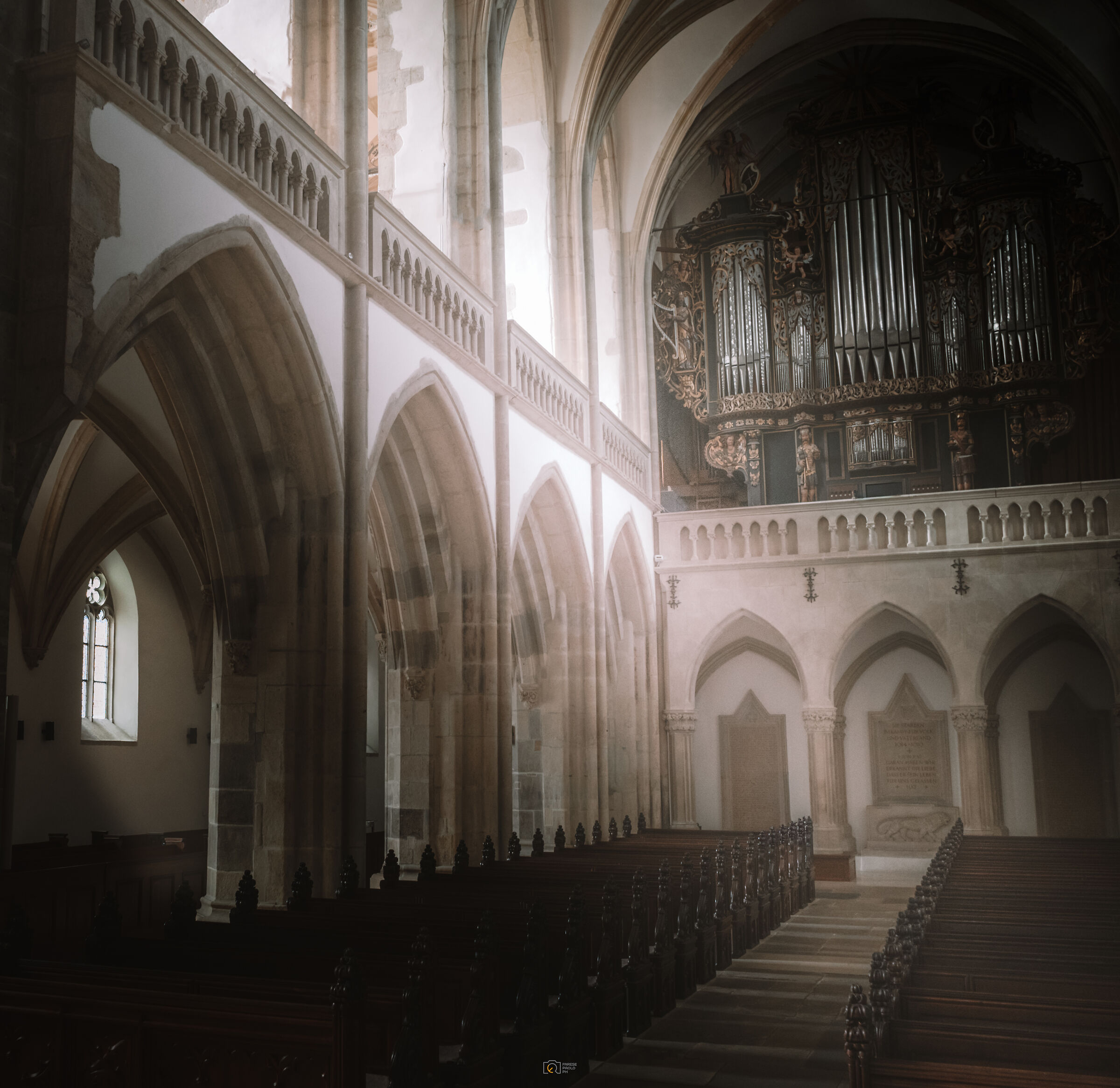 Dentro la cattedrale